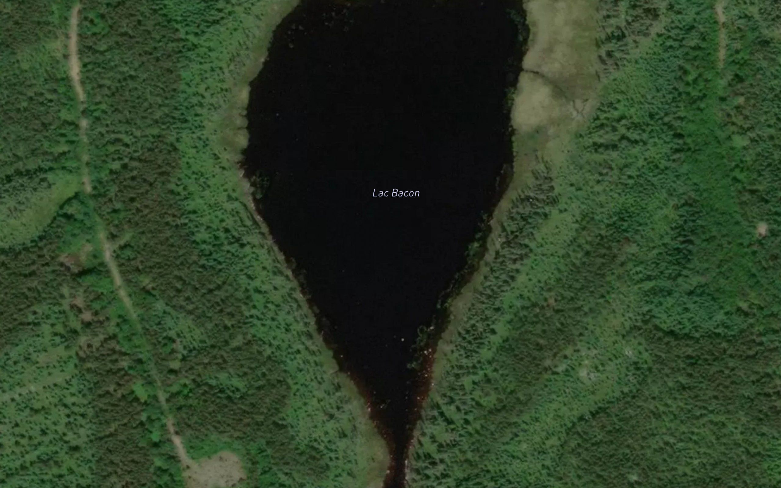 Lac Bacon