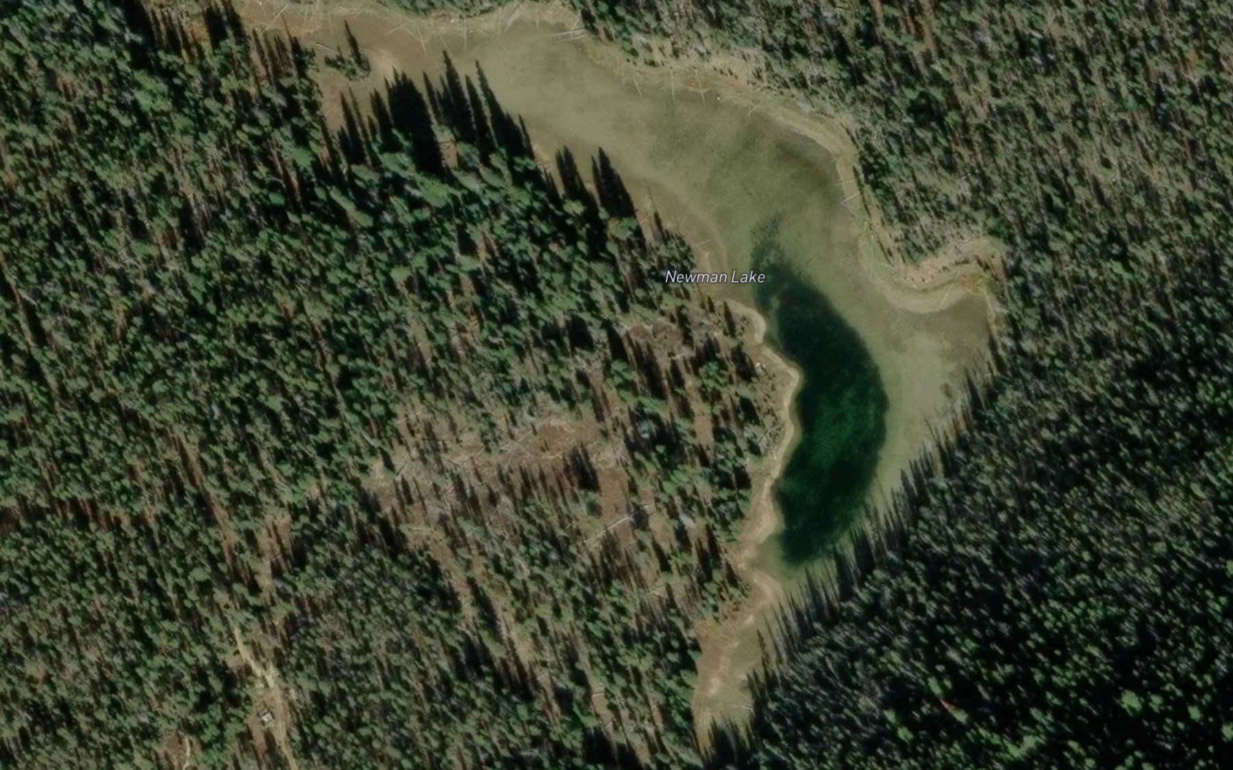 Satellite map of the Newman Lake