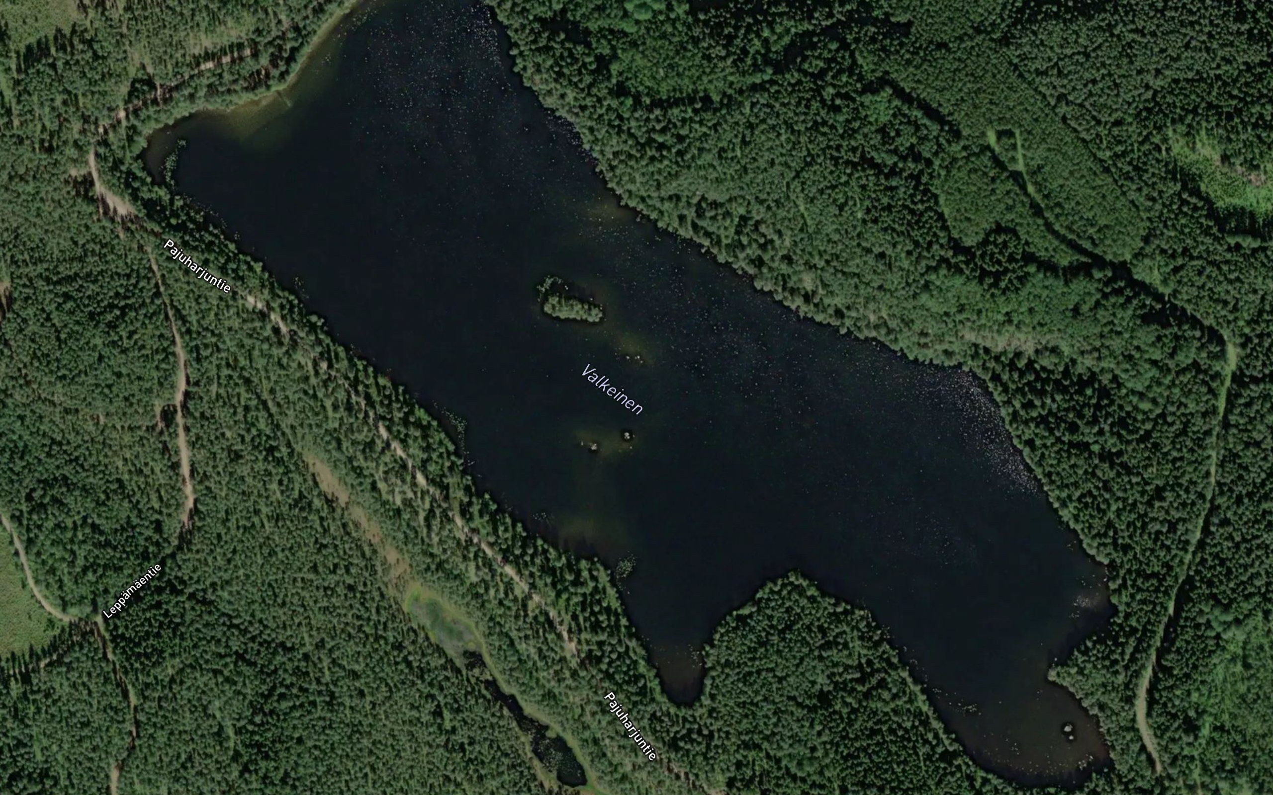 Valkeinen