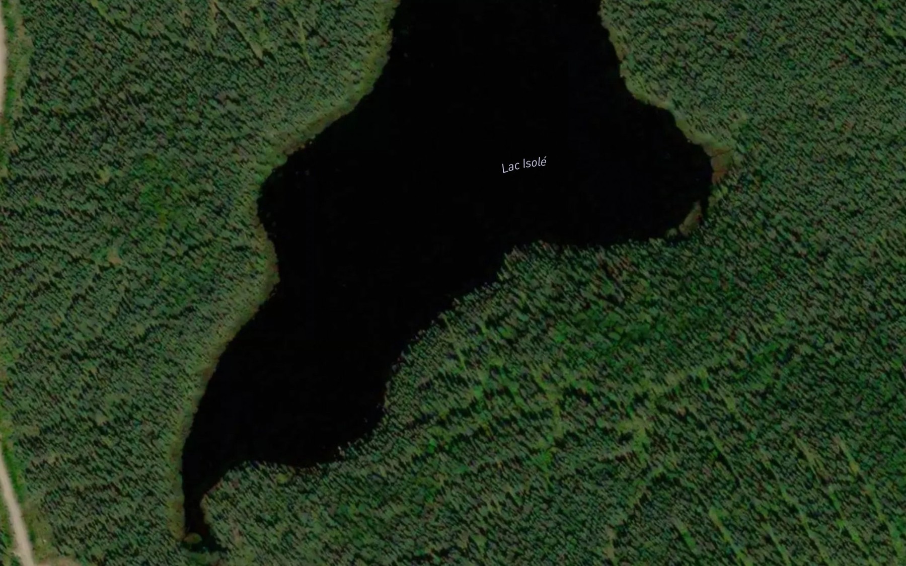 Satellite map of the Lac Isole