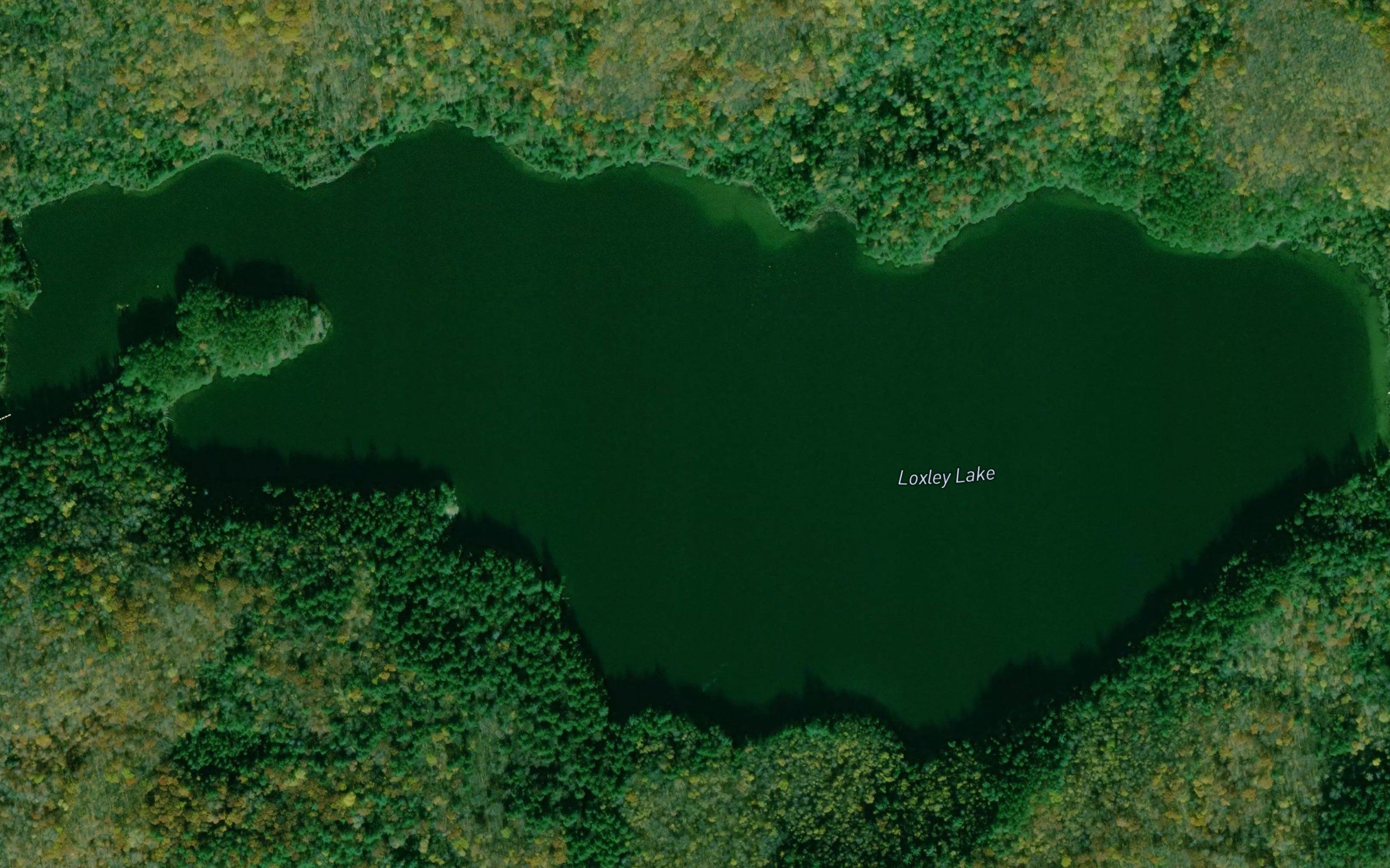 Loxley Lake
