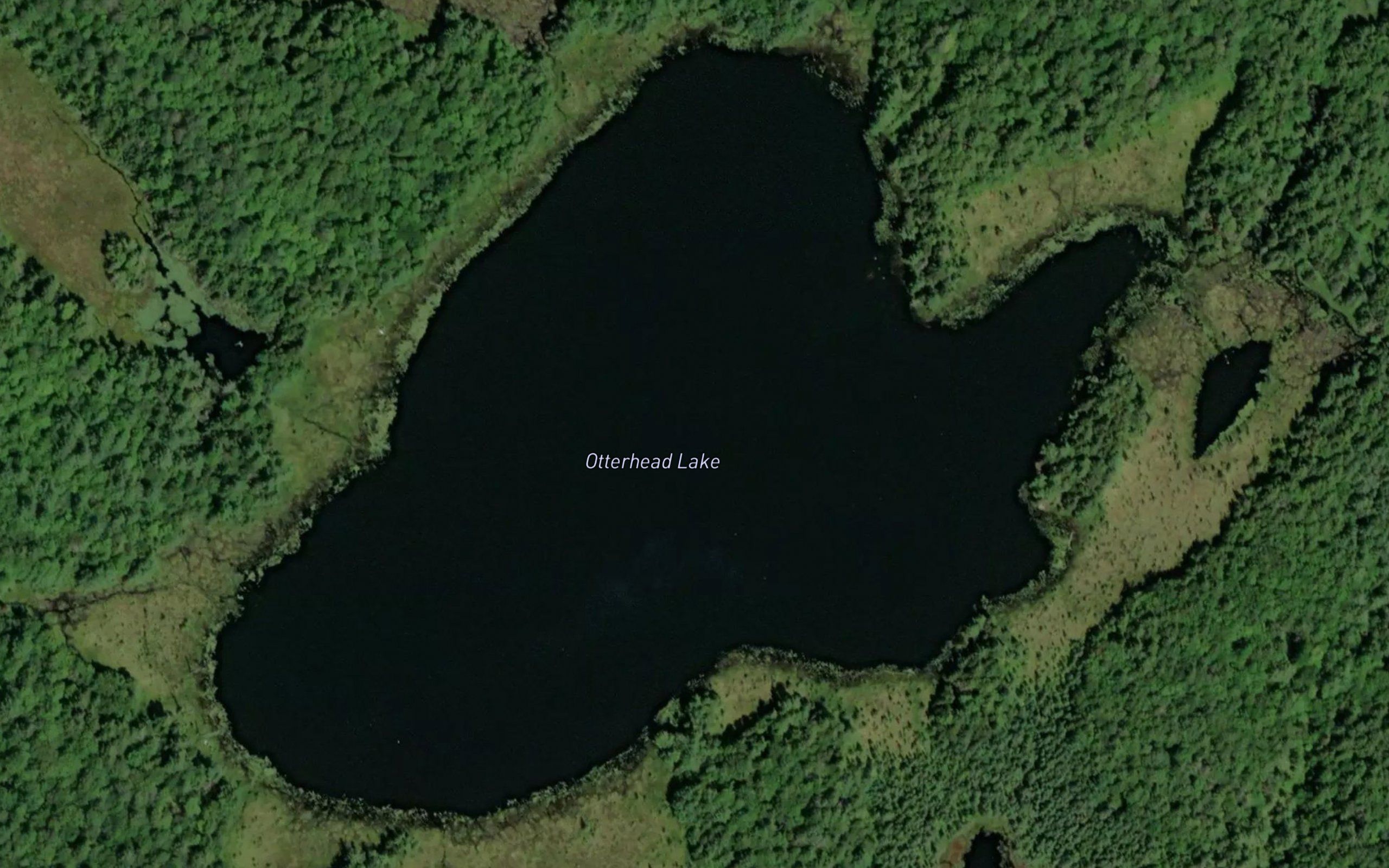 Otterhead Lake