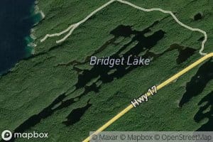 Bridget Lake