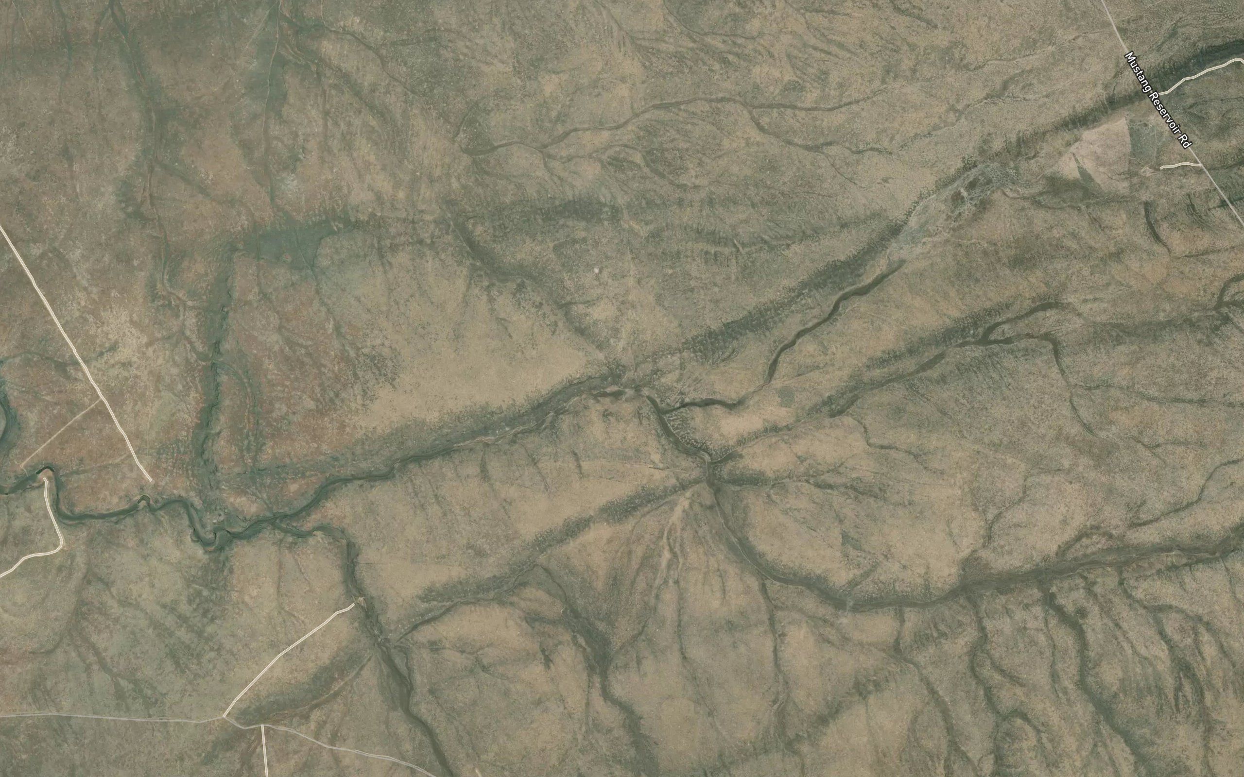 Mustang Water Hole