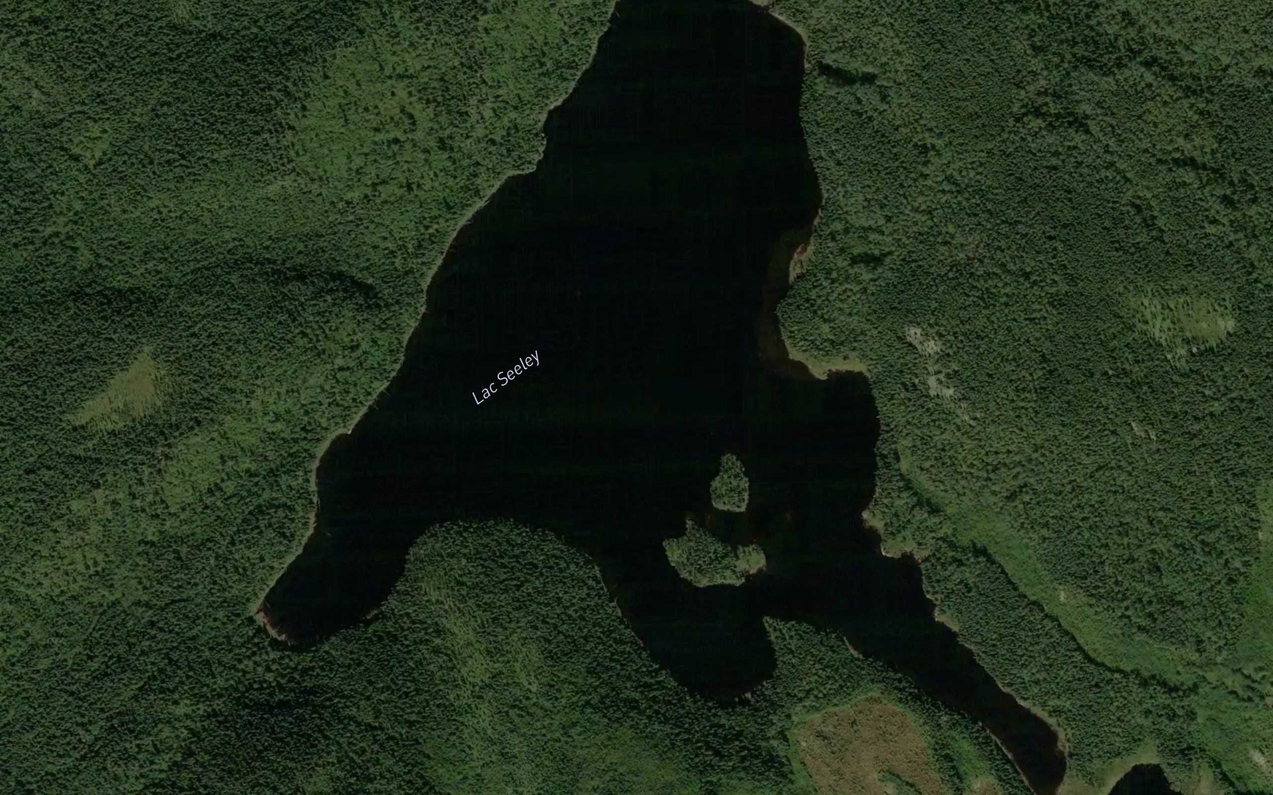 Lac Seeley