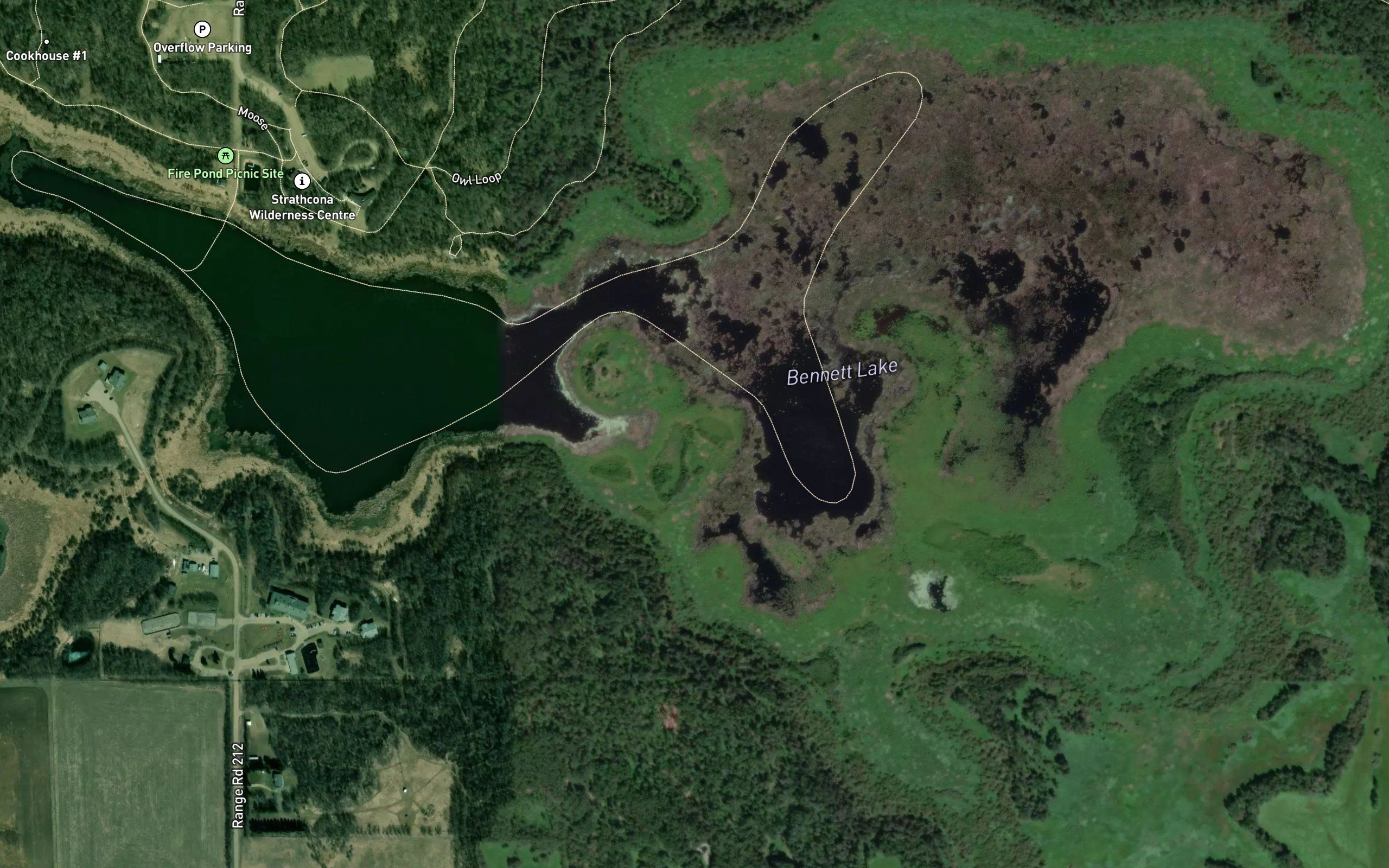 Bennett Lake