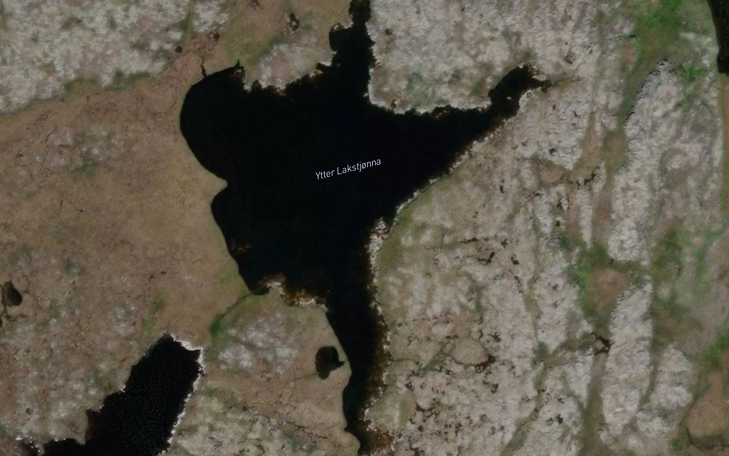 Lakstjorna