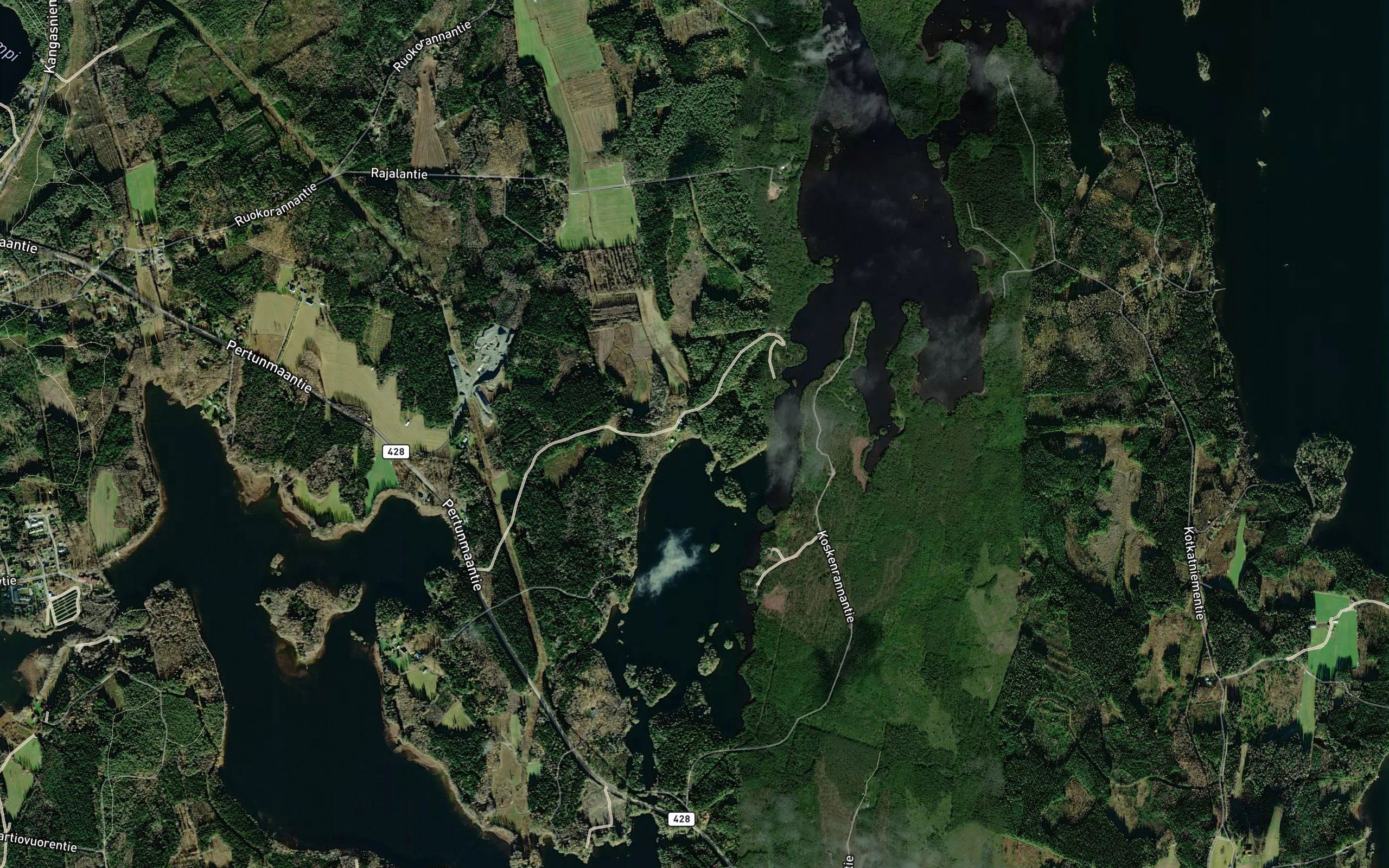 Karalamminoja