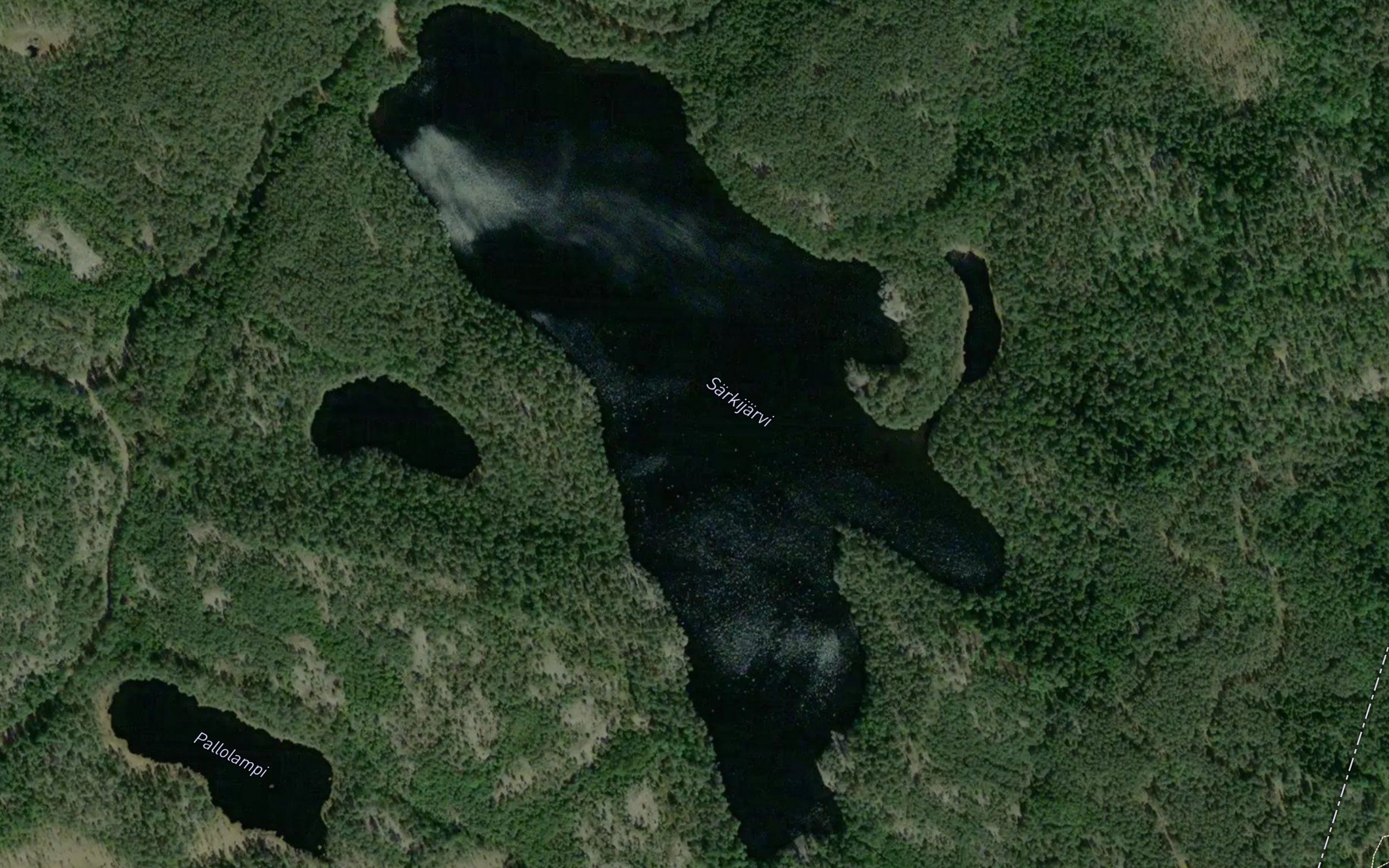 Sarkijarvi