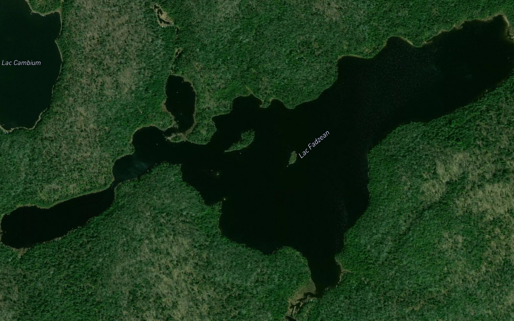 Satellite map of the Lac Fadzean