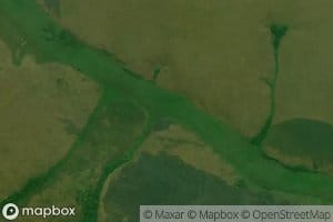 Muenga