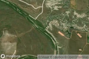 Bog Creek