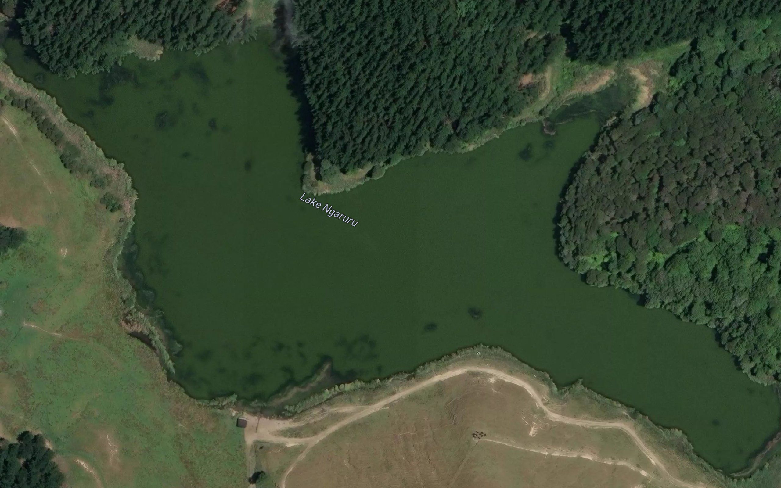 Lake Ngaruru