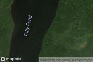 Tally Pond