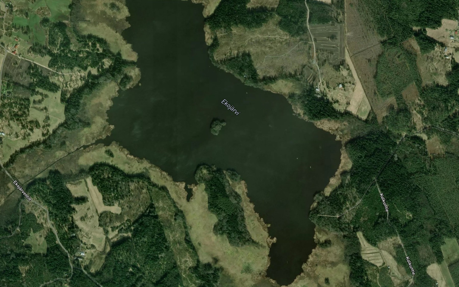 Satellite map of the Ekojarvi