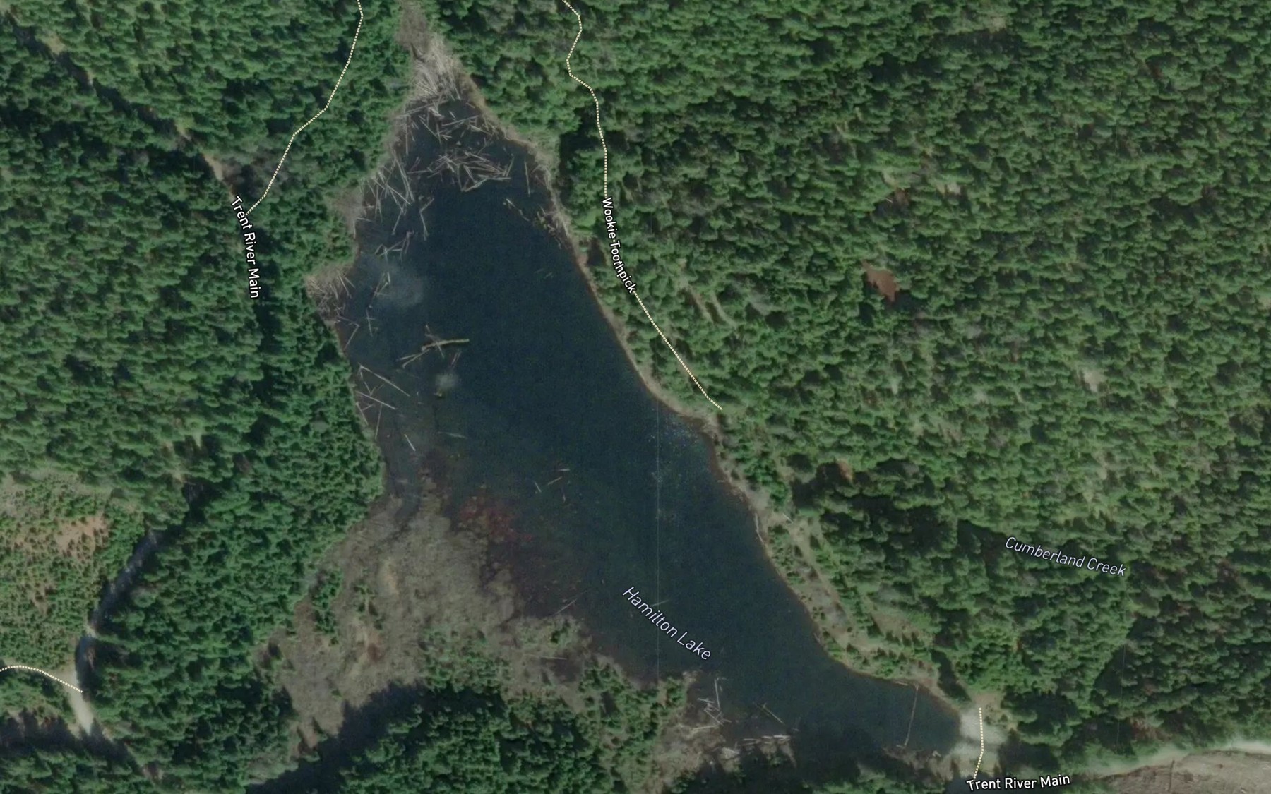 Satellite map of the Hamilton Lake
