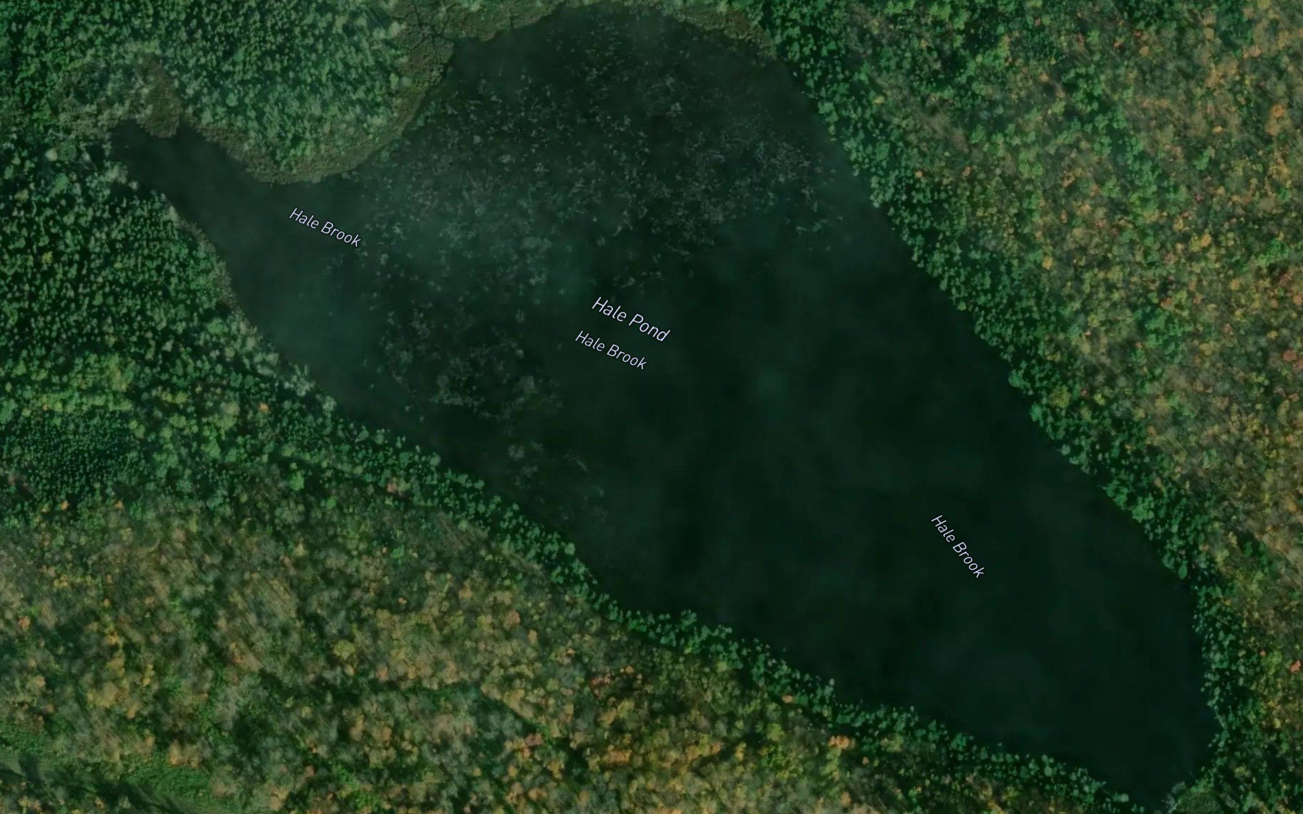 Hale Pond