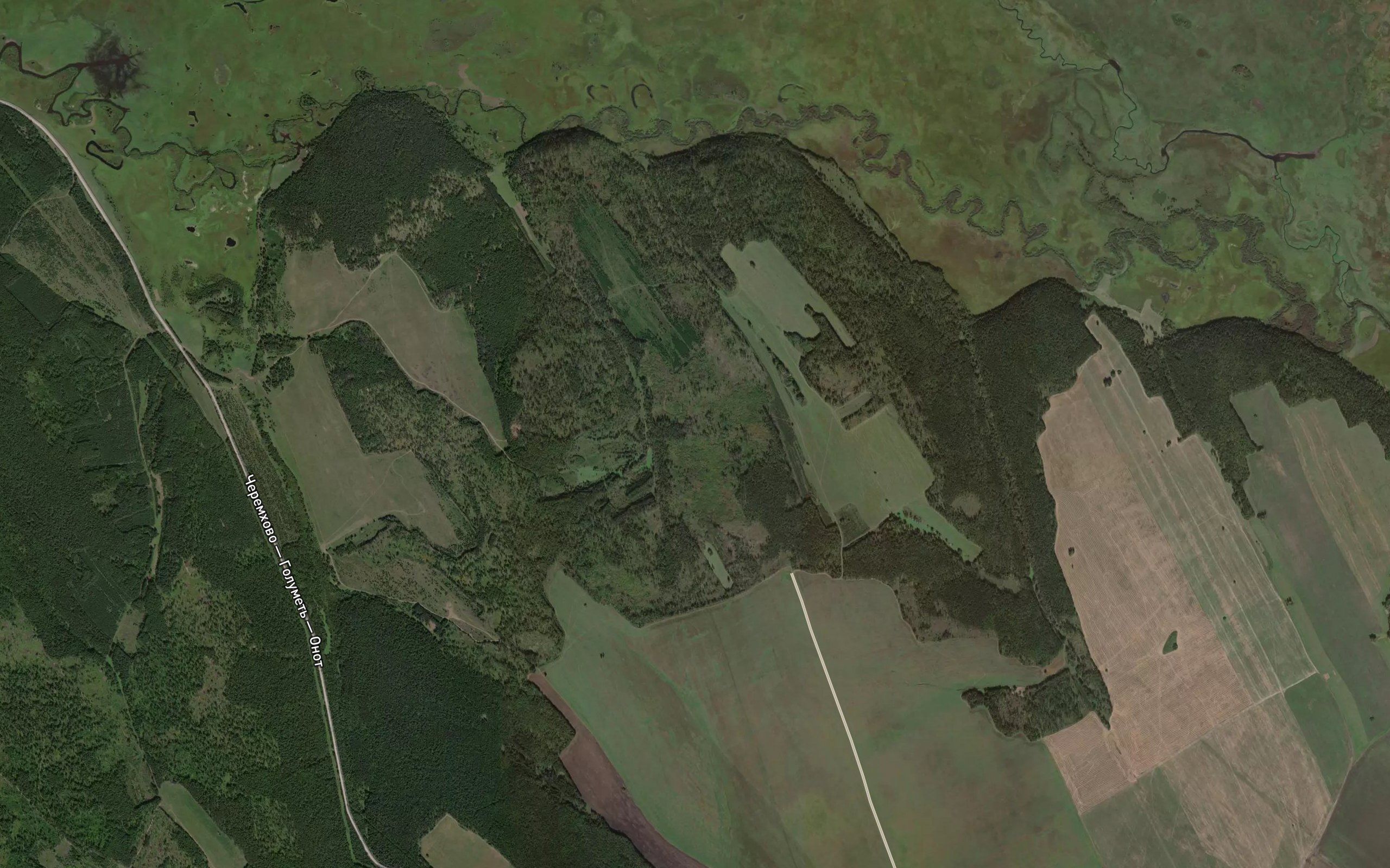 Pad' Popova