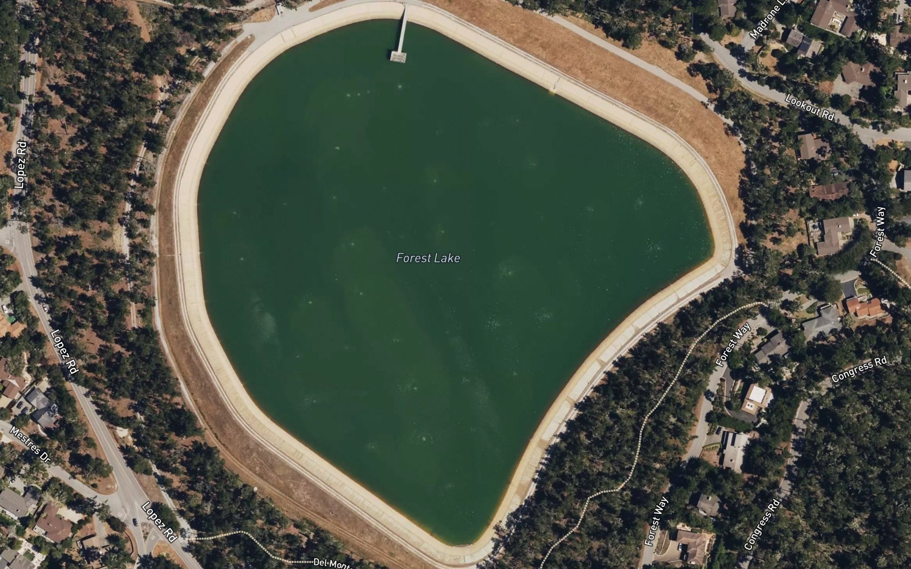 Satellite map of the Forest Lake