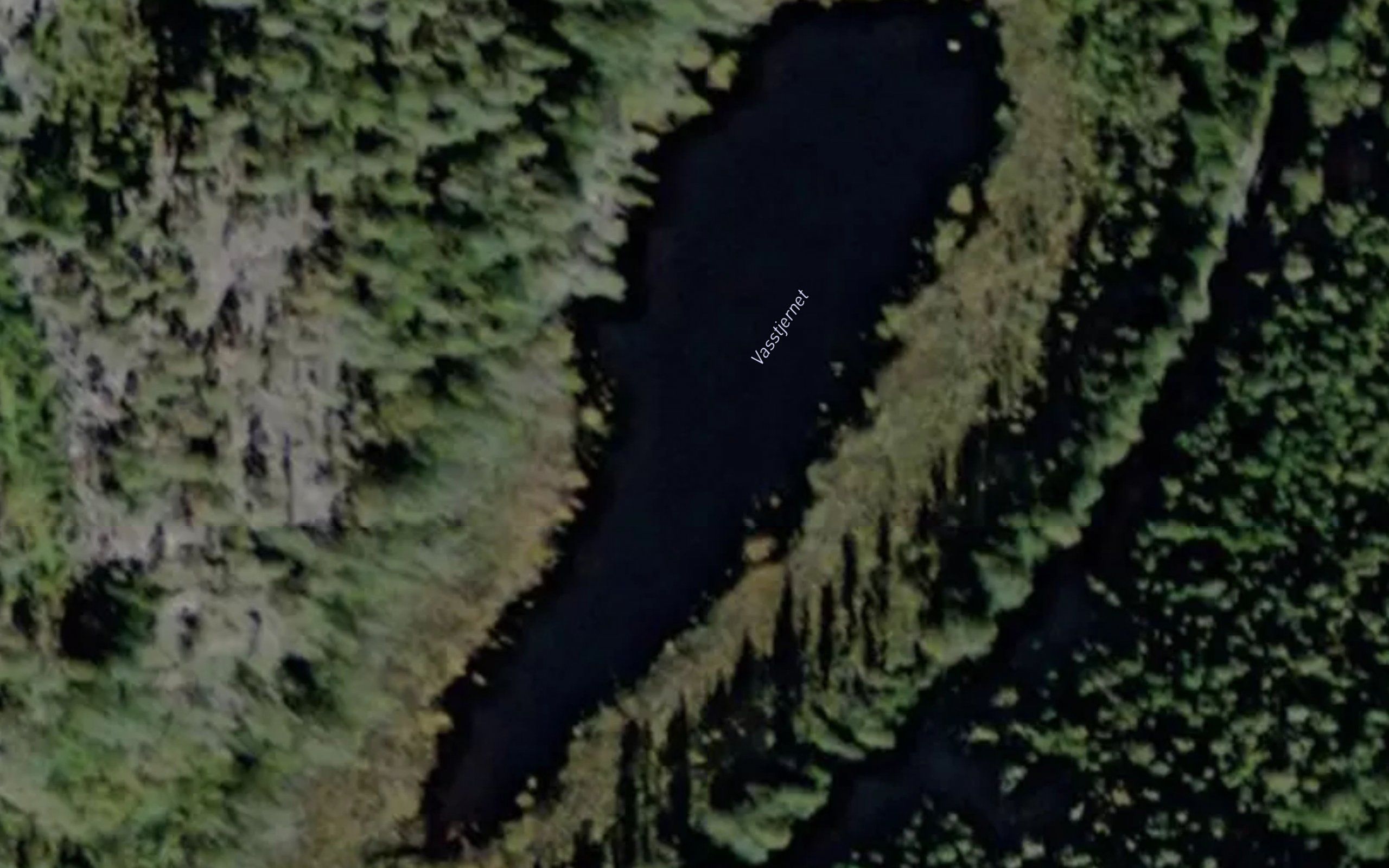 Vasstjern