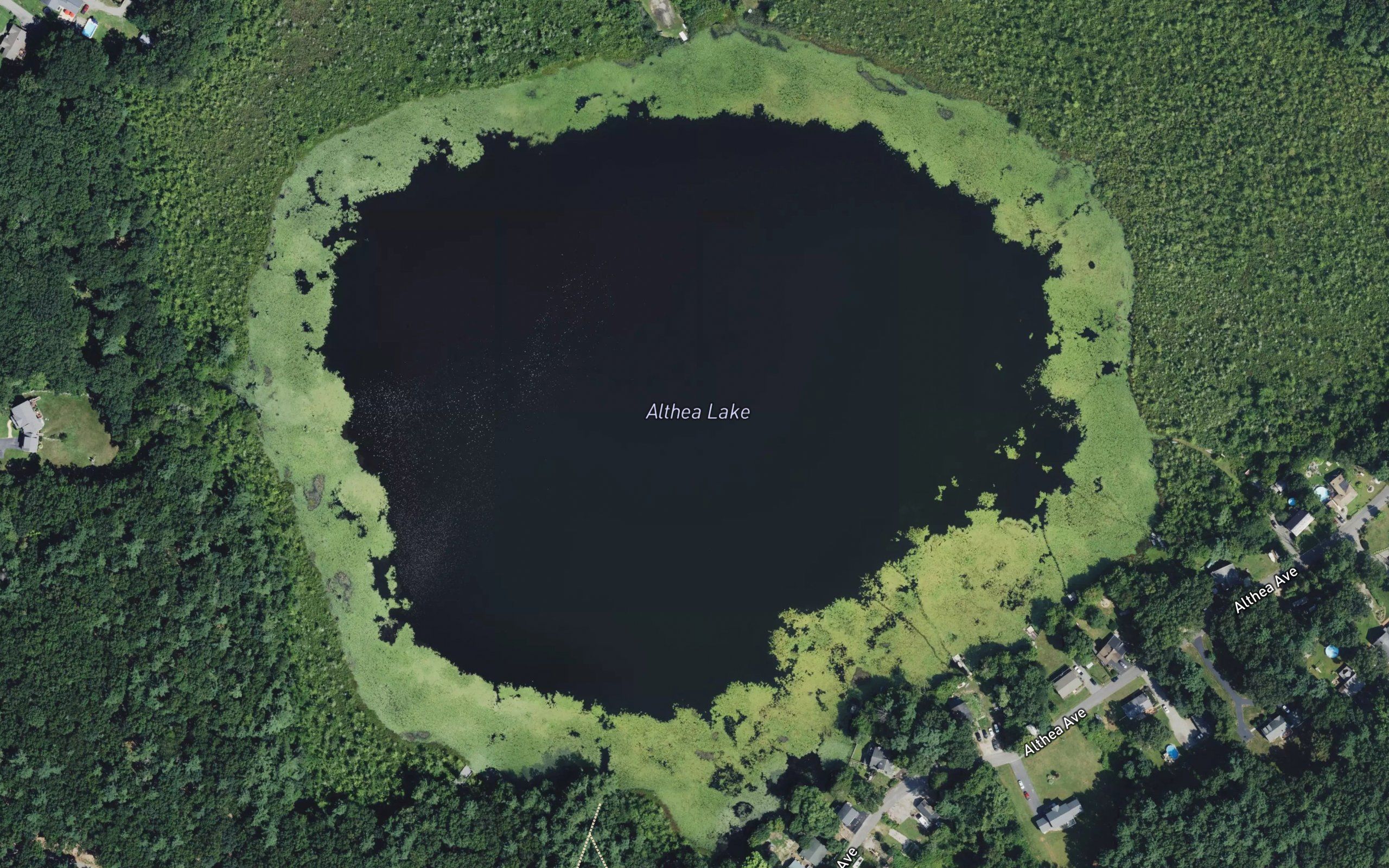 Althea Lake
