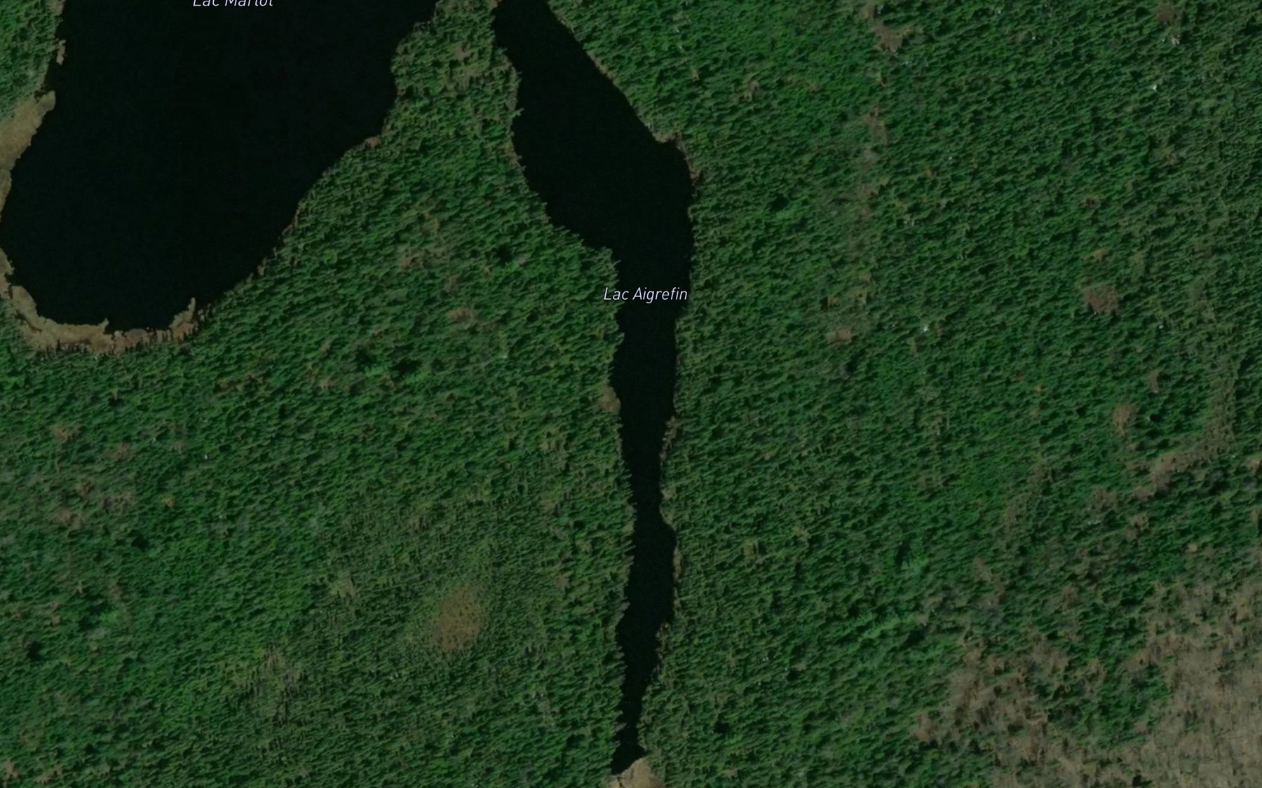 Satellite map of the Lac Aigrefin