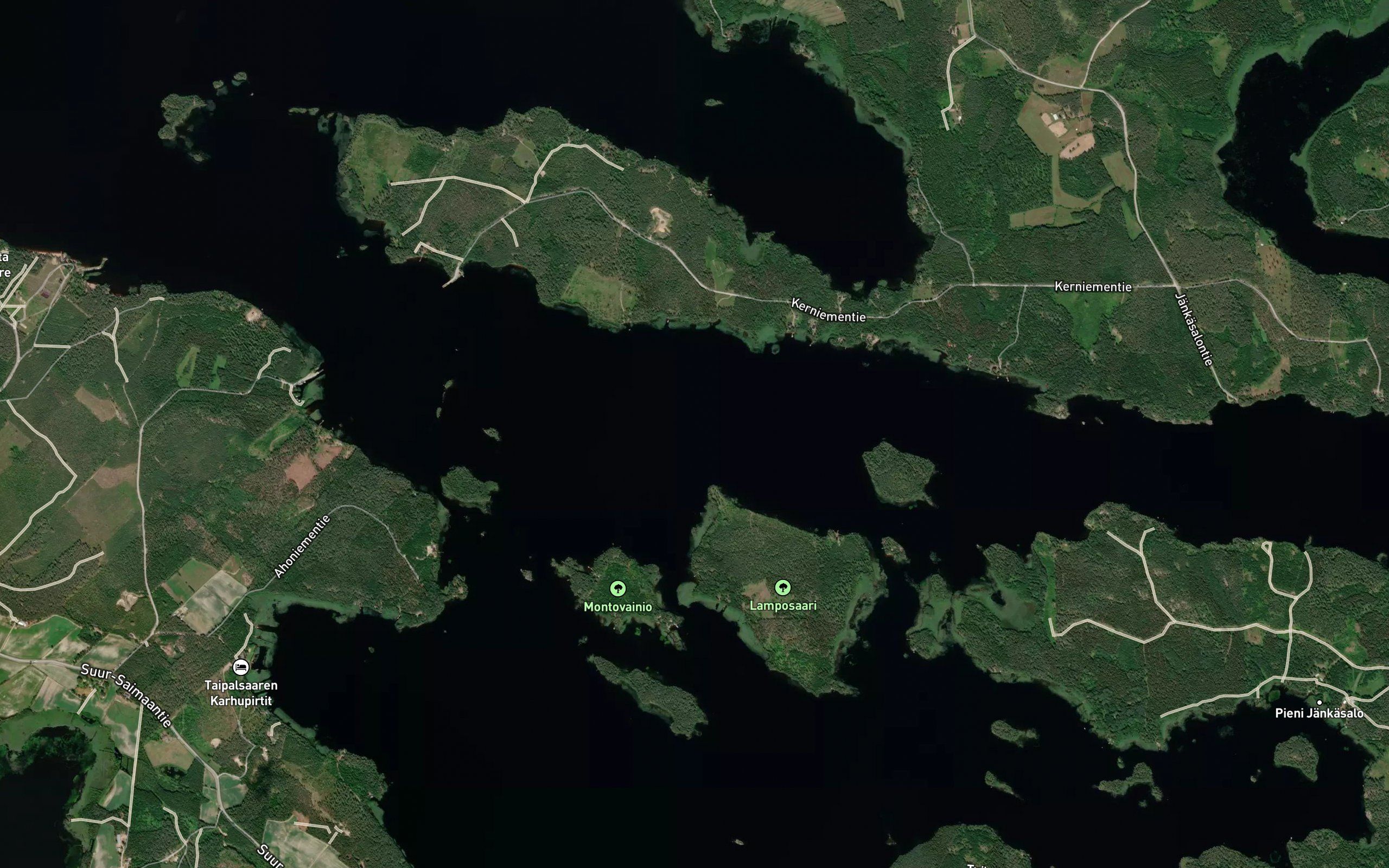 Uittomi