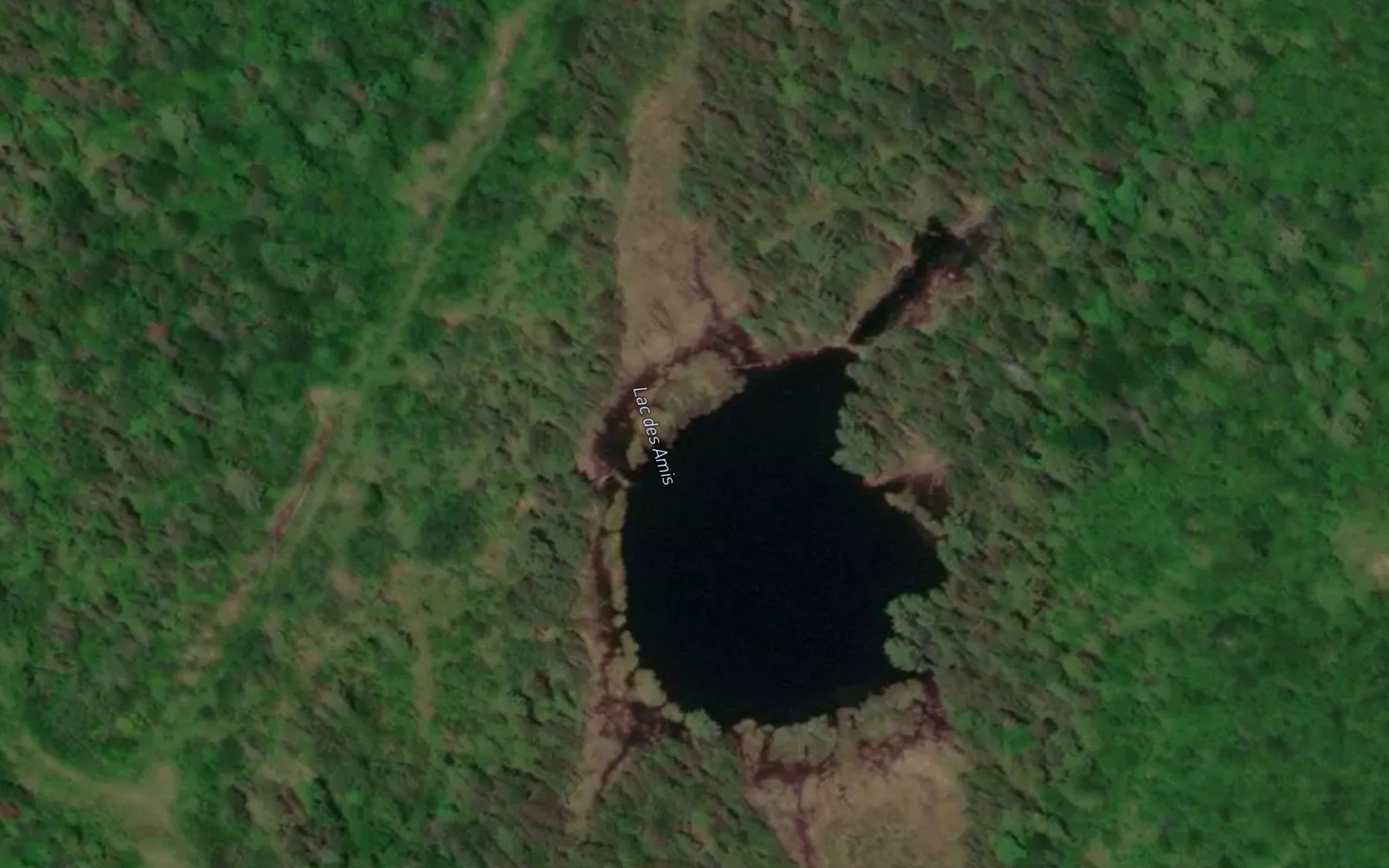 Satellite map of the Lac des Amis