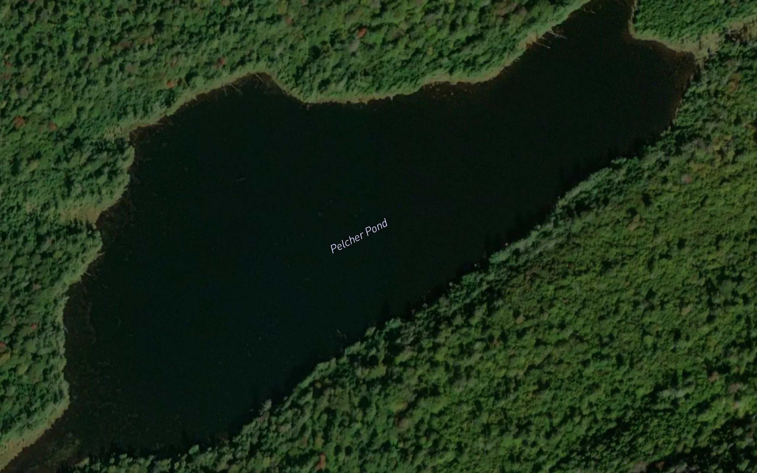 Pelcher Pond