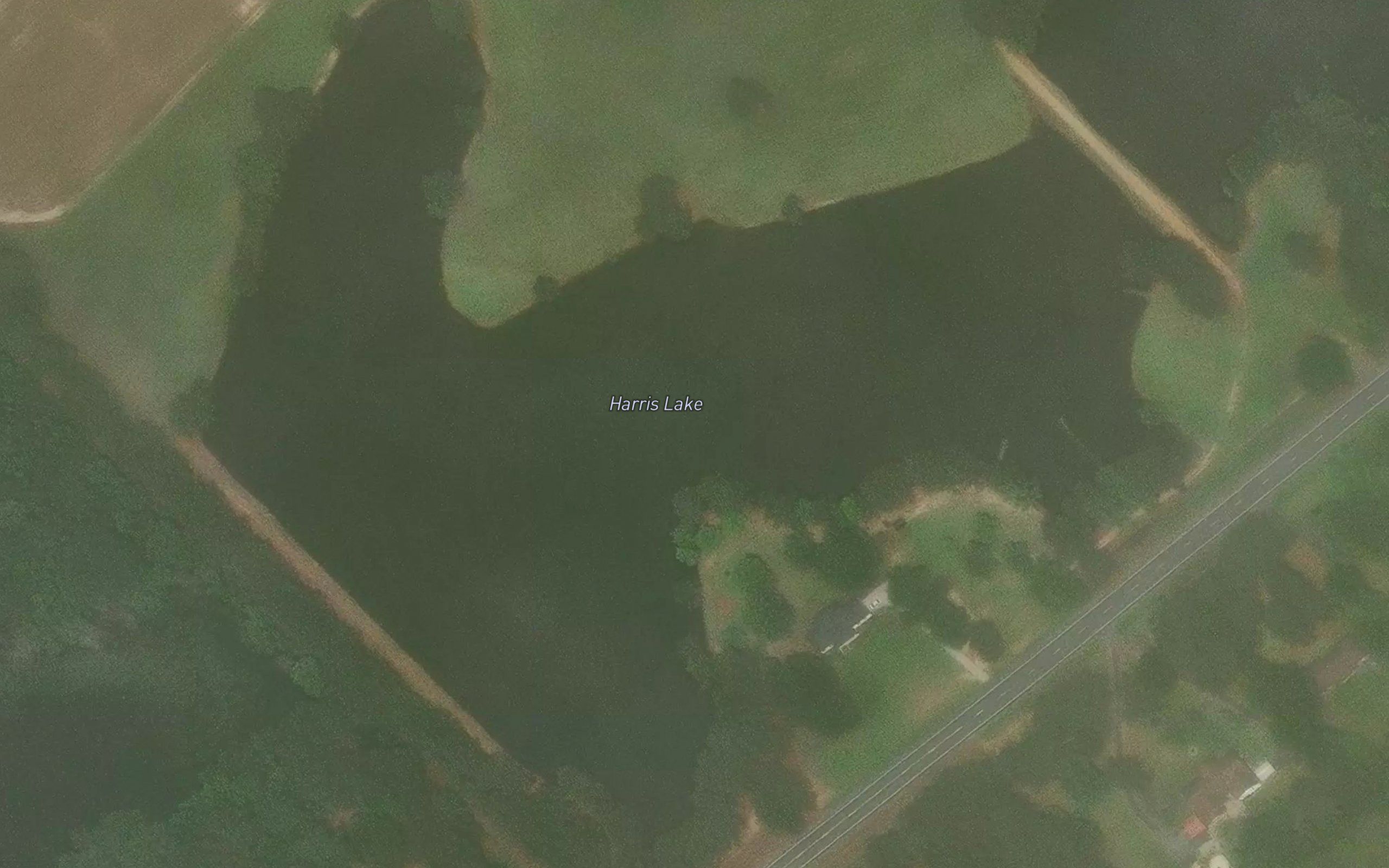 Harris Lake
