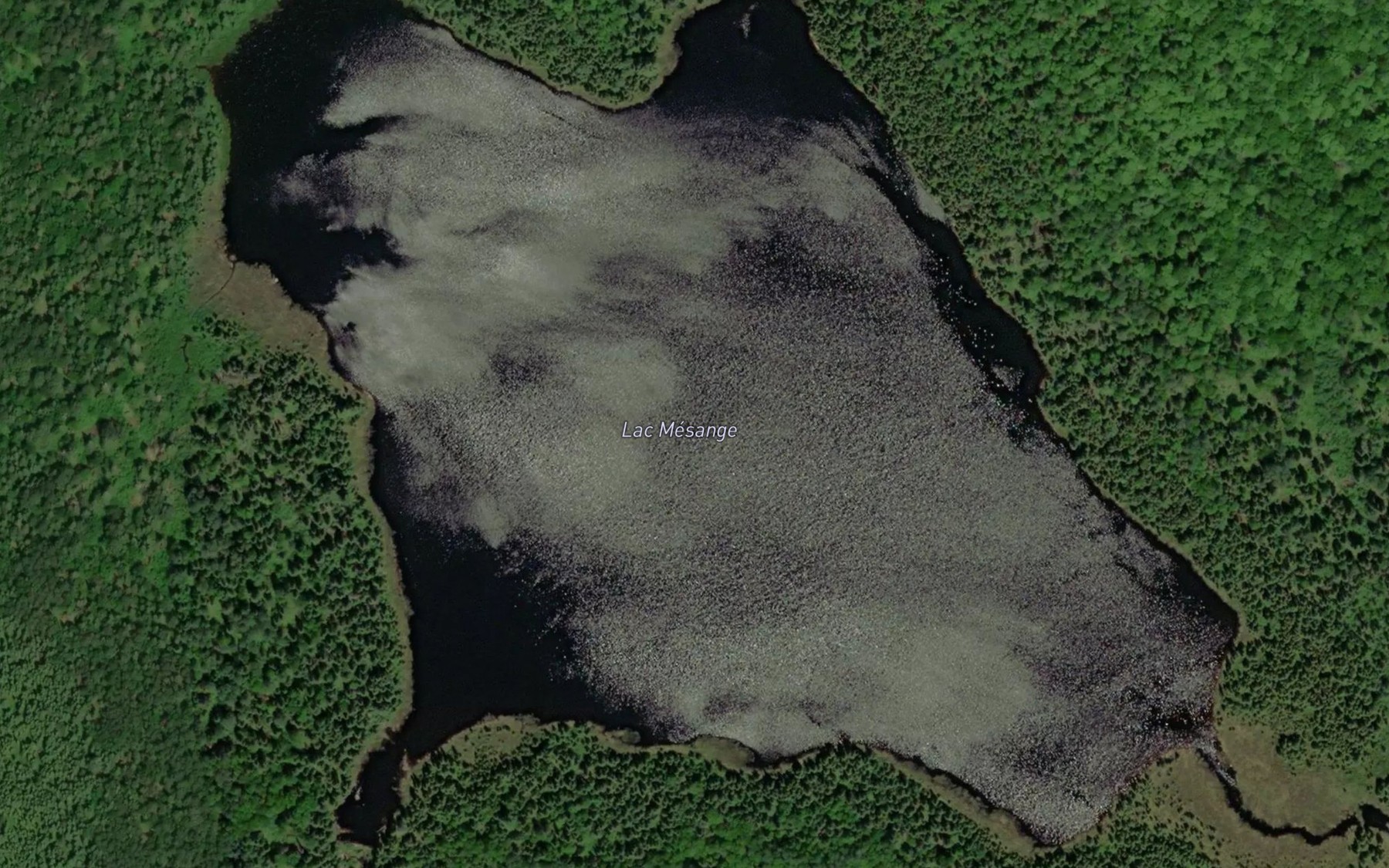 Satellite map of the Lac Mesange