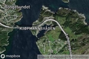 Kjopmannsvagen