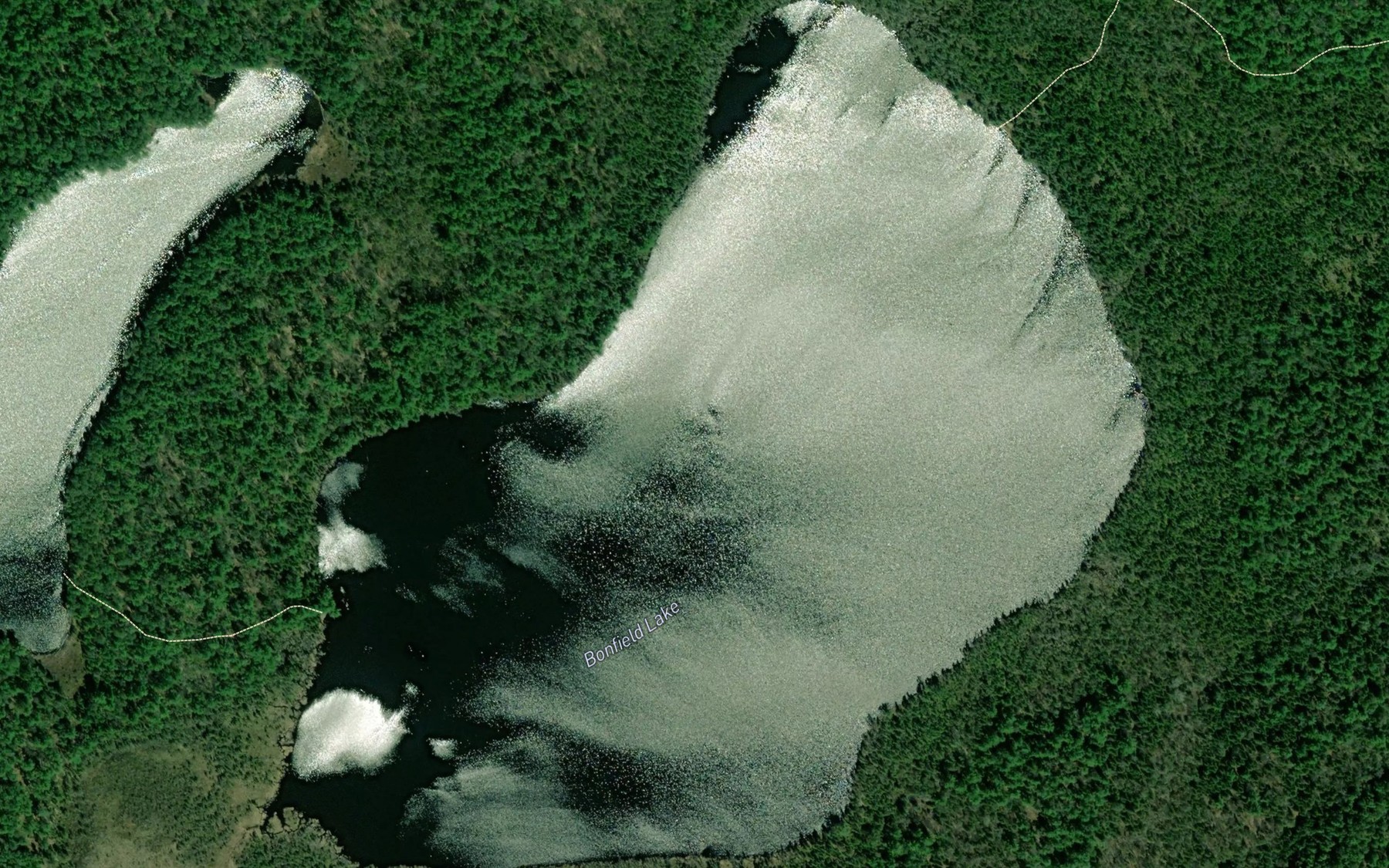 Satellite map of the Bonfield Lake