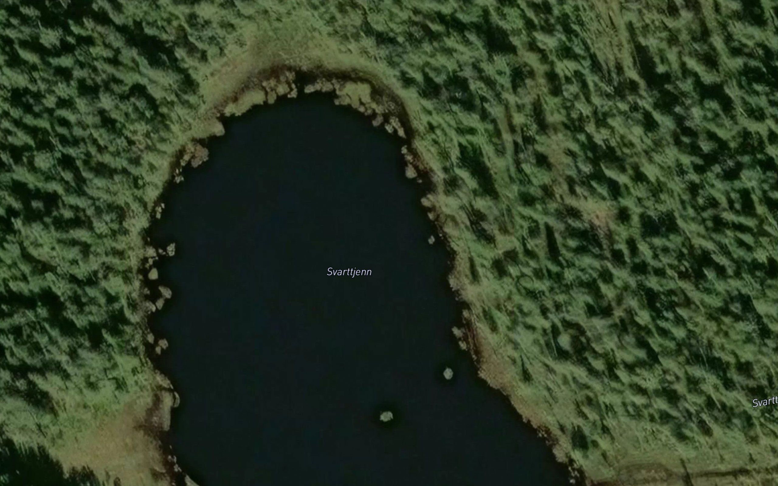Svarttjern