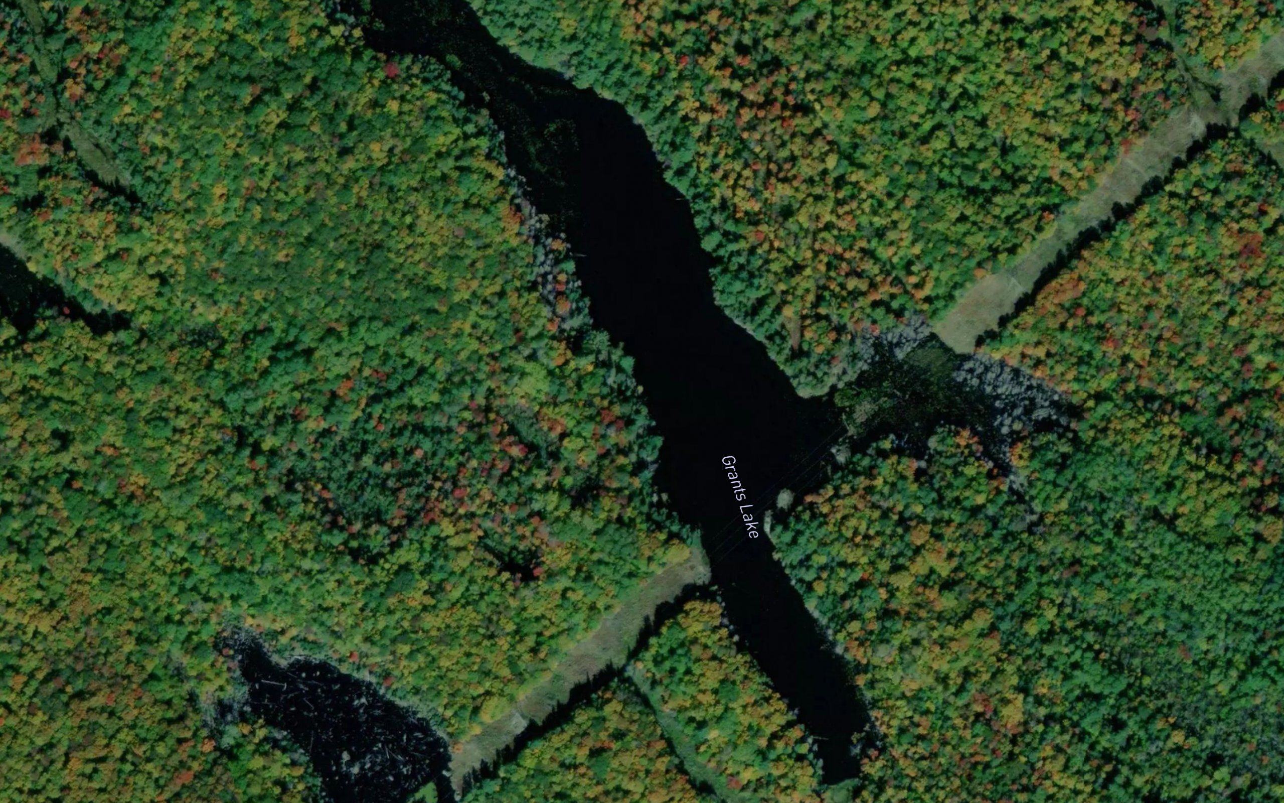 Grants Lake
