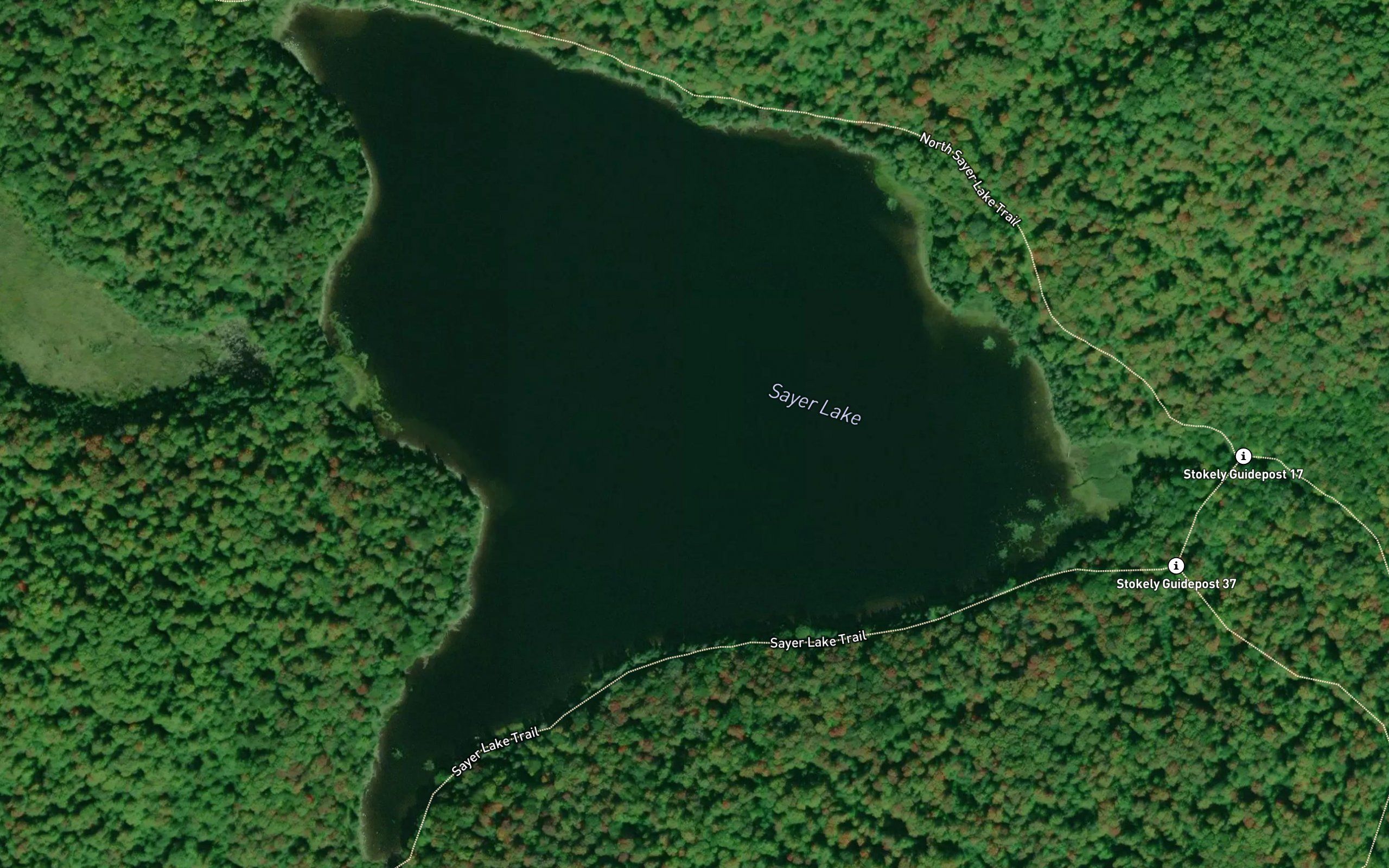 Sayer Lake
