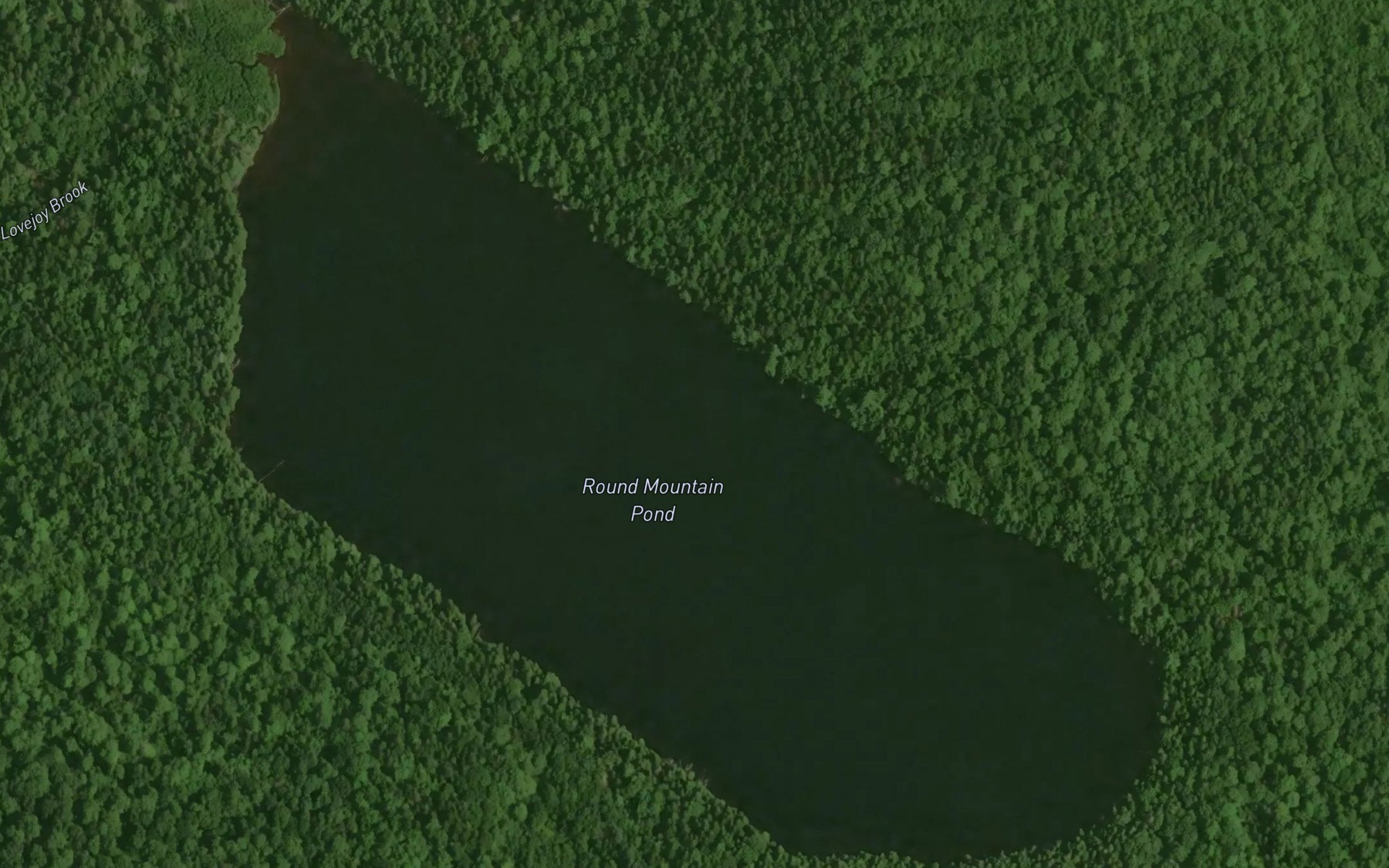 Satellite map of the Round Mountain Pond