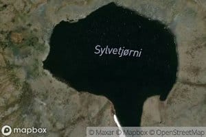 Sylvetjonni