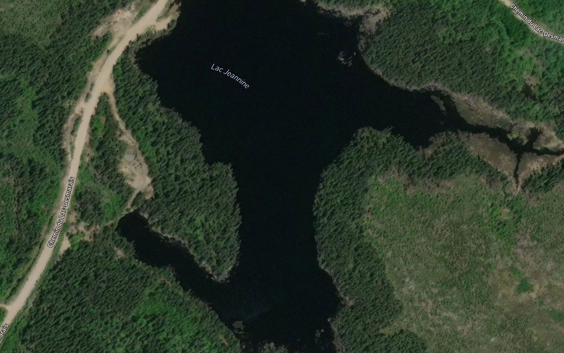 Satellite map of the Lac Jeannine