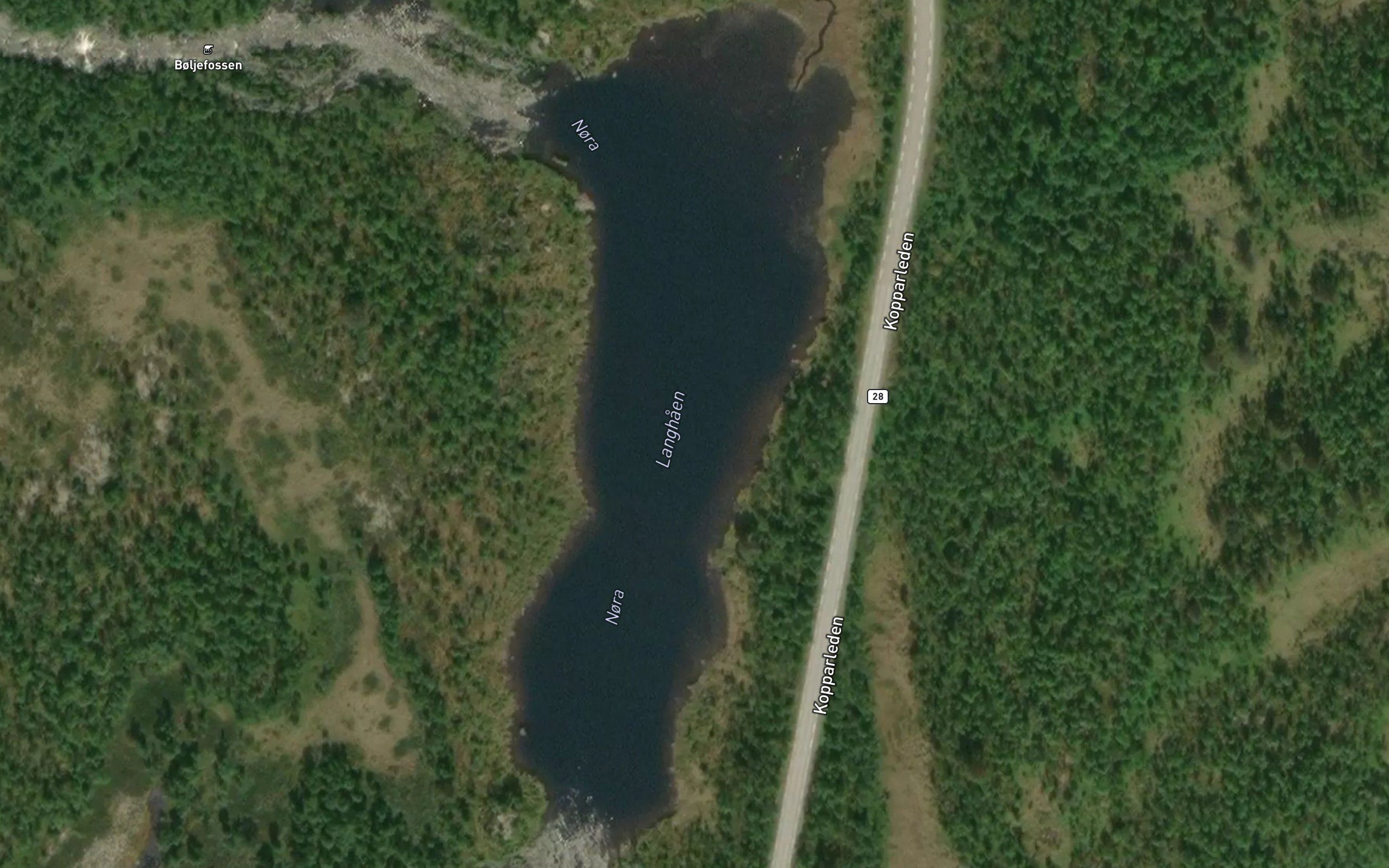 Langhaen