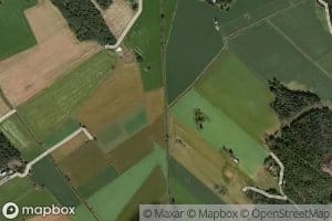 Tummanoja