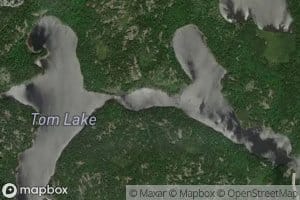 Tom Lake