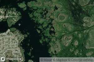 Tsala Apopka Lake