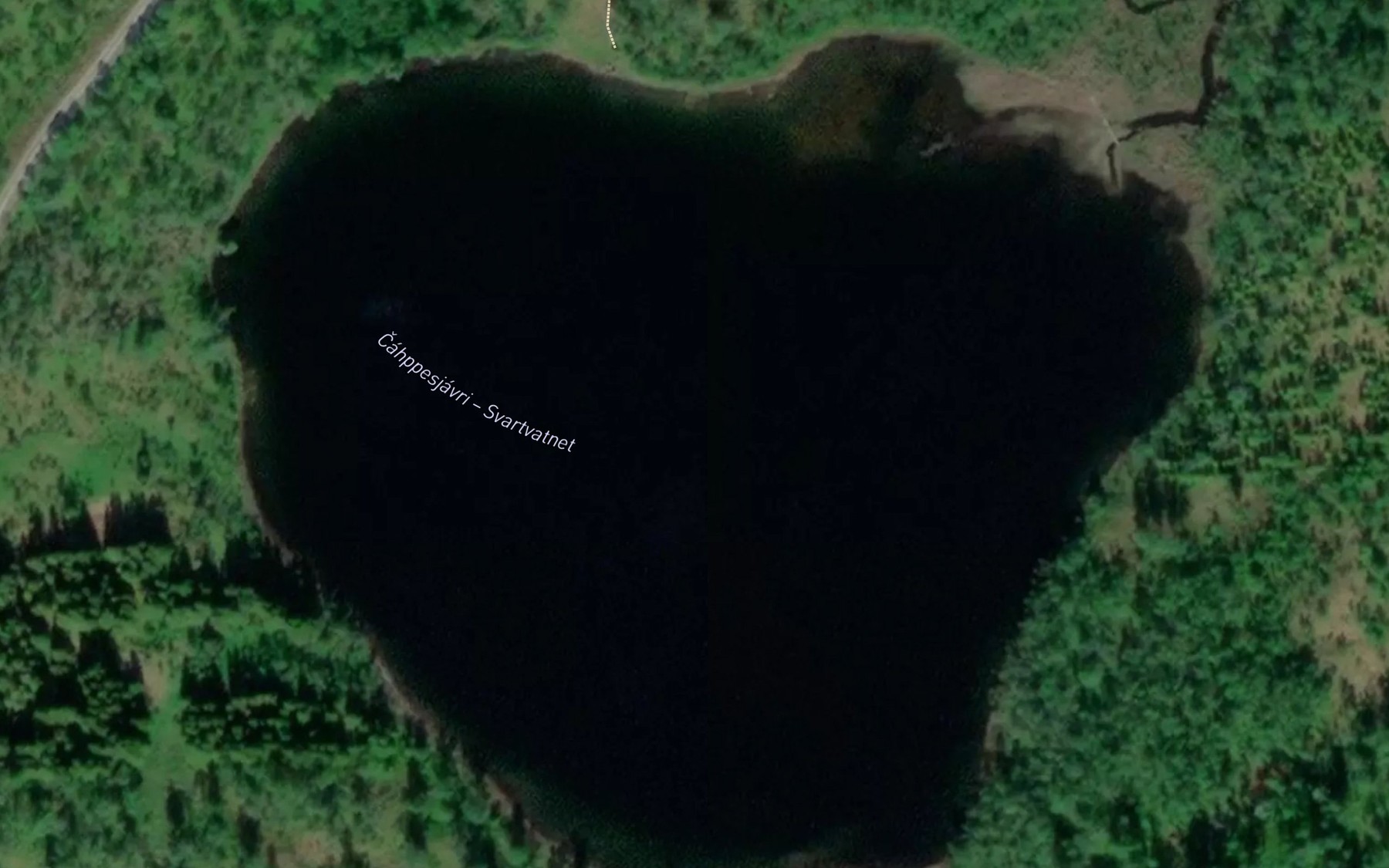Satellite map of the Svartvatnet