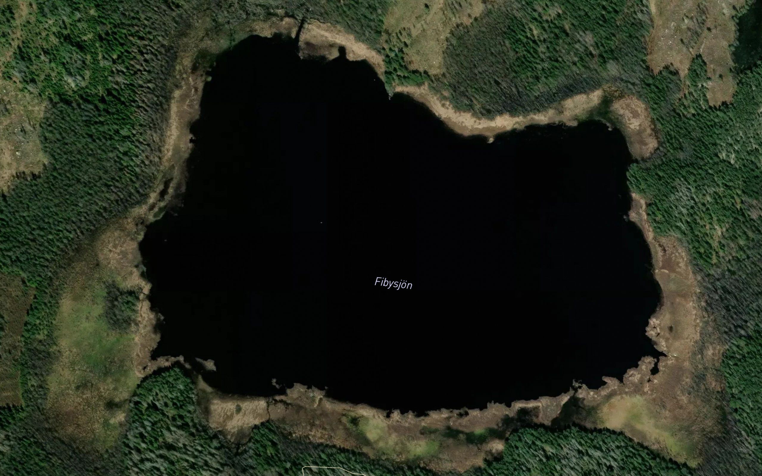 Fibysjoen