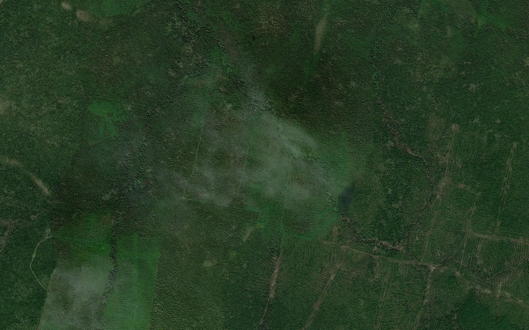 Satellite map of the Sed"yel'