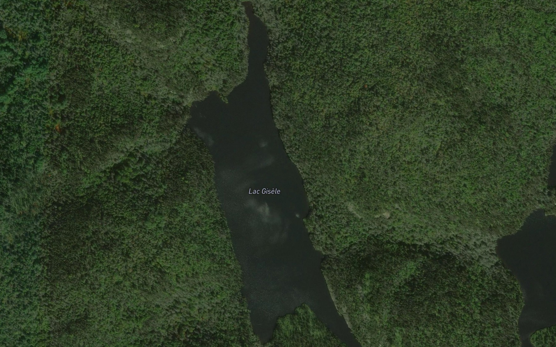 Satellite map of the Lac Gisele