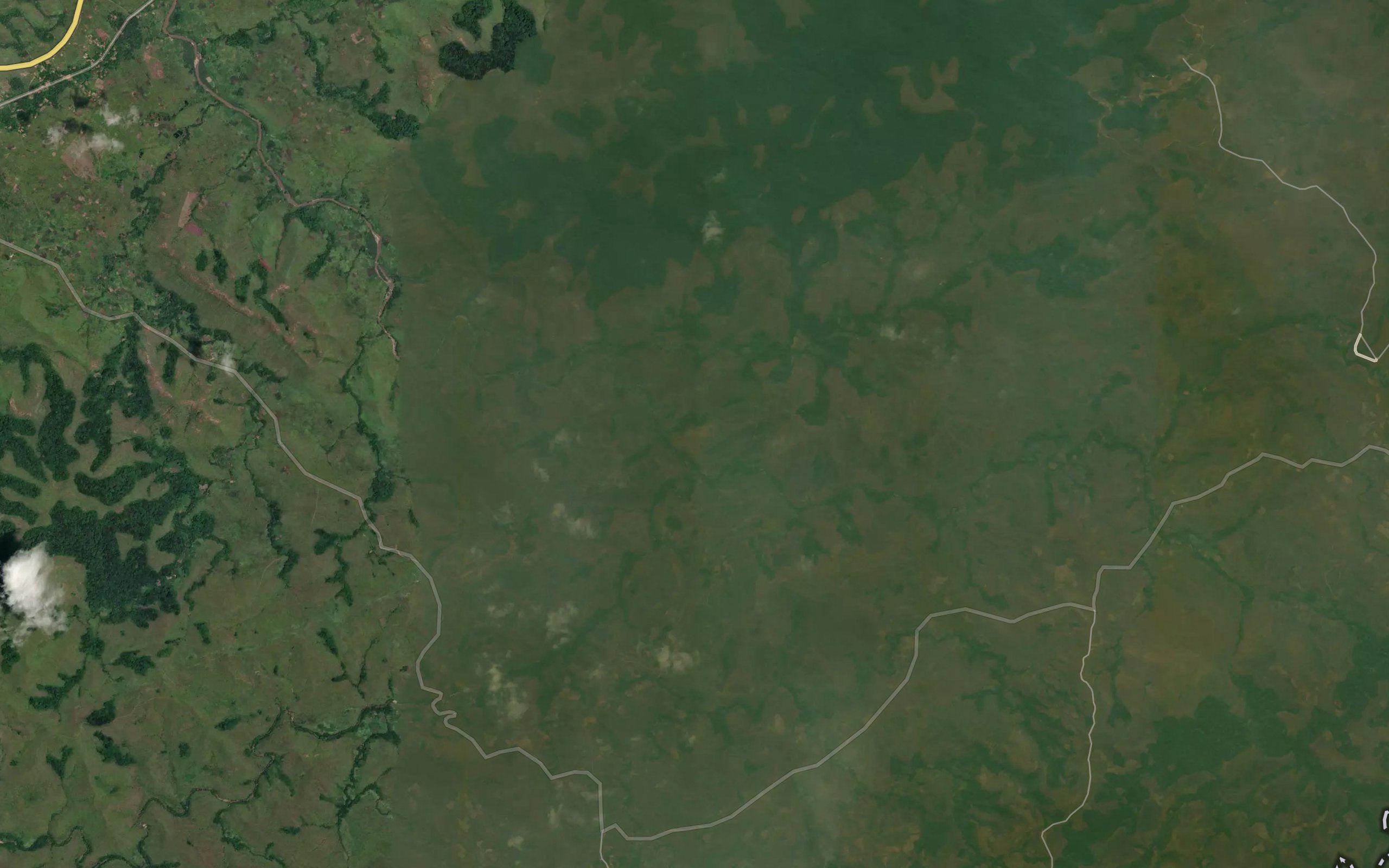 Kinngoy