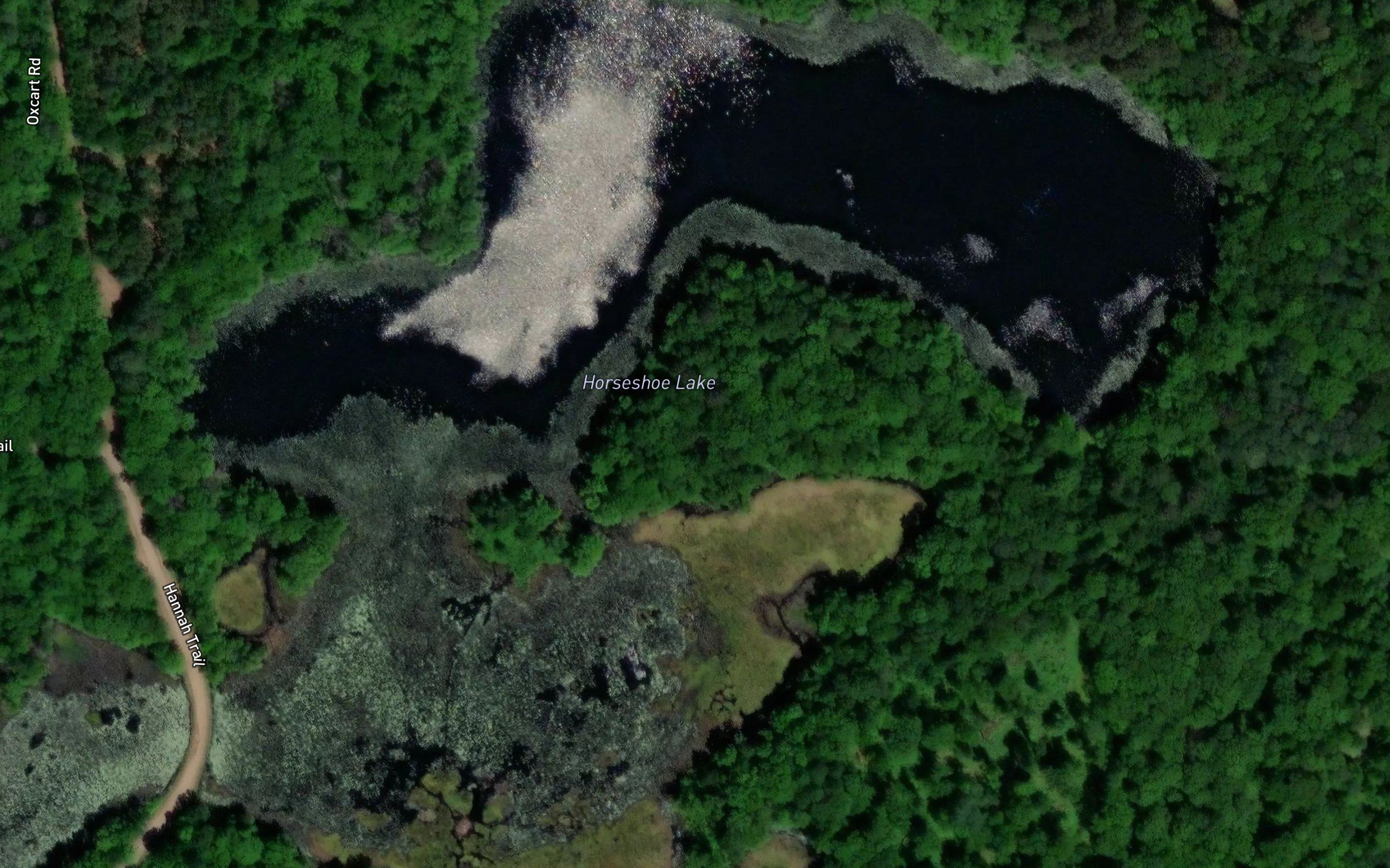 Horseshoe Lake