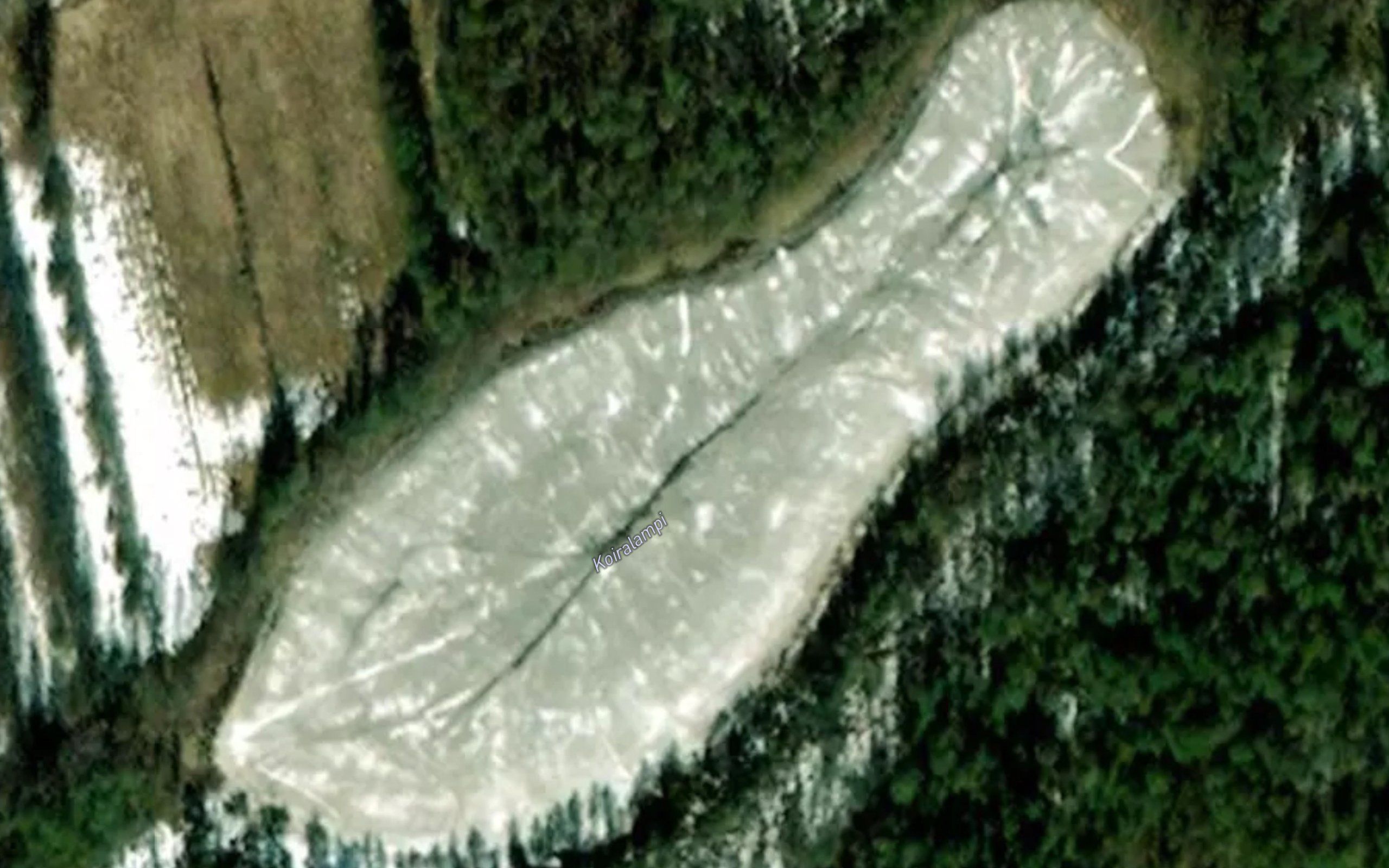Koiralampi